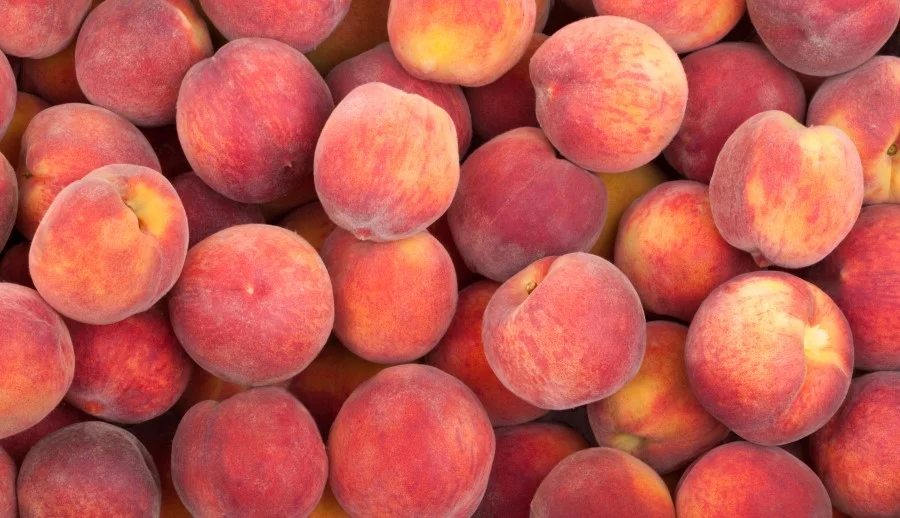Peaches are ideal foods when picked ripe from the tree. Most store bought peaches are picked hard so they don't damage during shipping. 