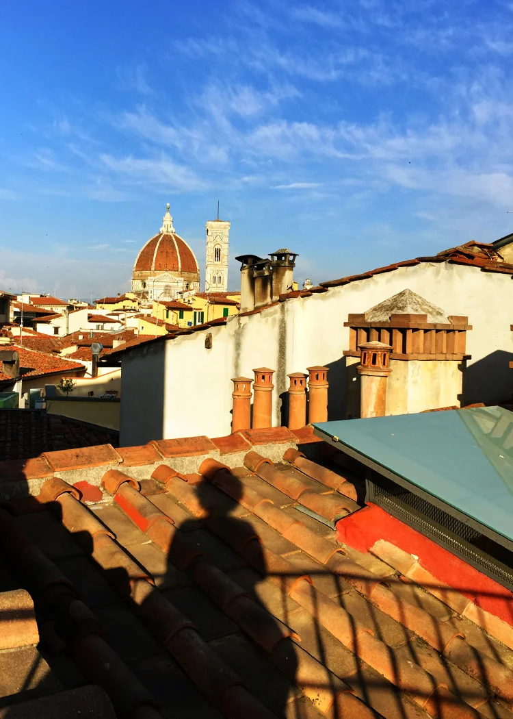 The Duomo from the roof of our hotel at sunset.