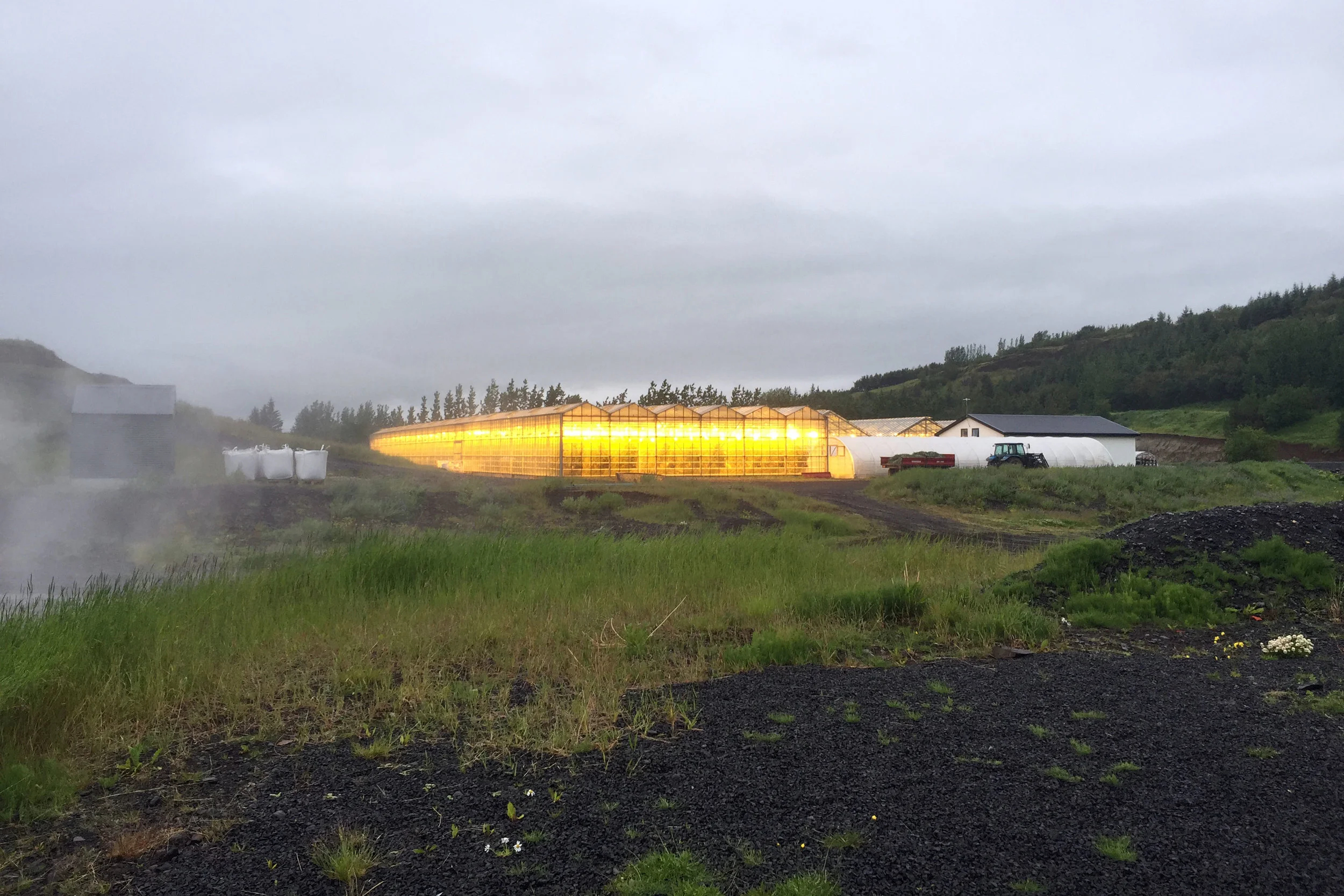 Greenhouses near The Secret Lagoon. This is 10:00 at night. Though it was cloudy, the nights never got dark.
