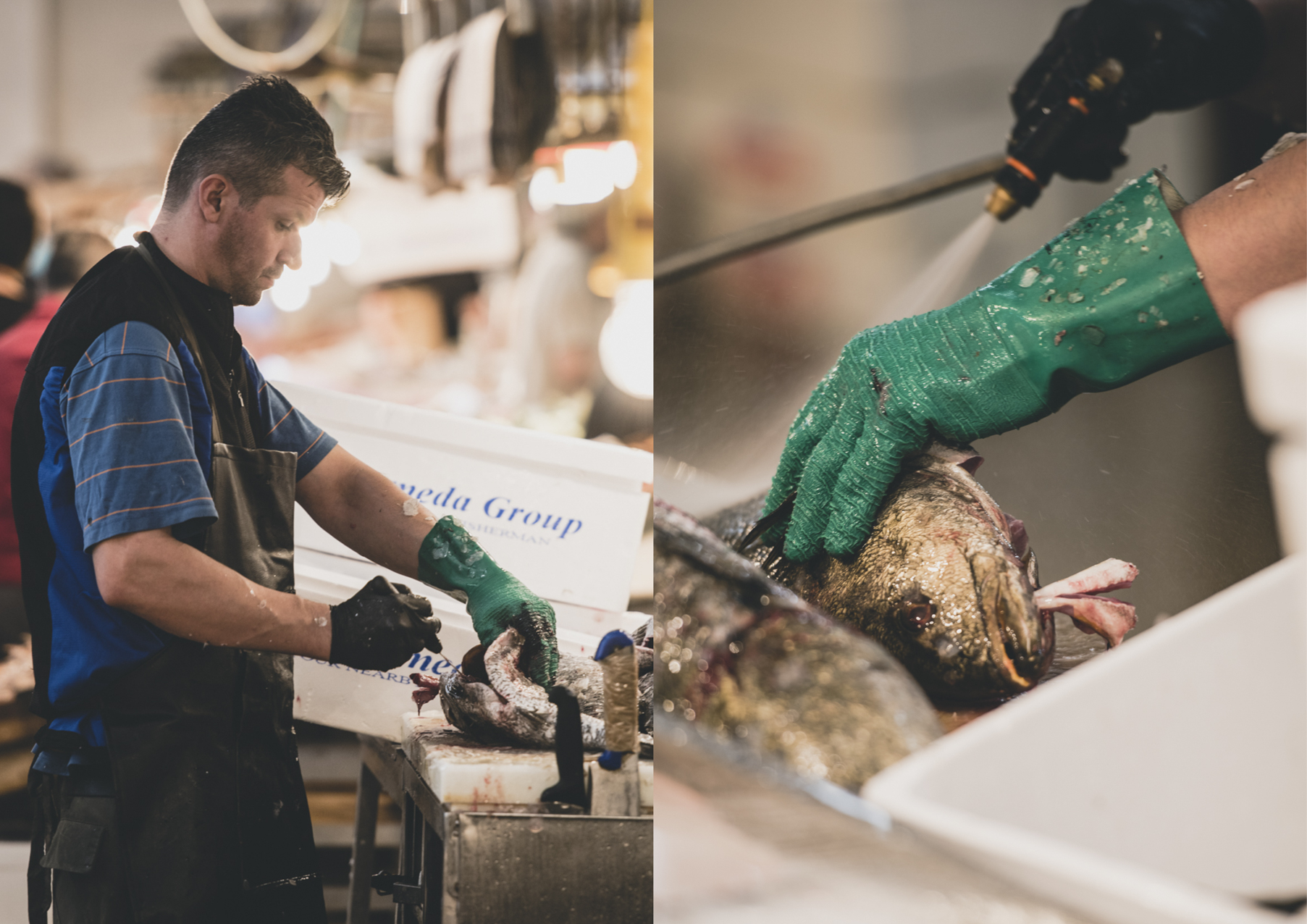 Athen_Fischmarkt_Zusammenstellung10.jpg