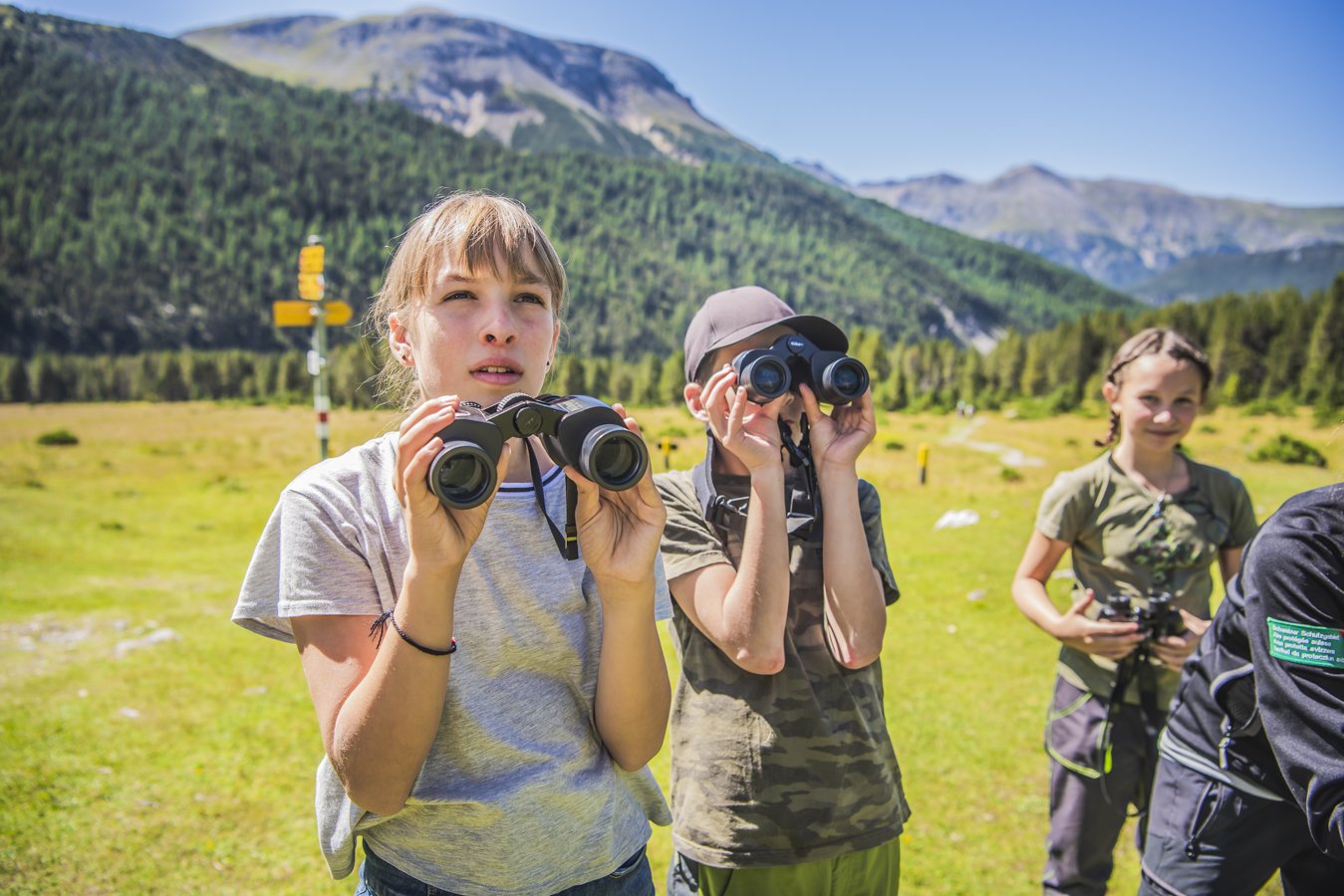 MRB_Pärke_Nationalpark_Tierbeobachtung_20190904229.jpg