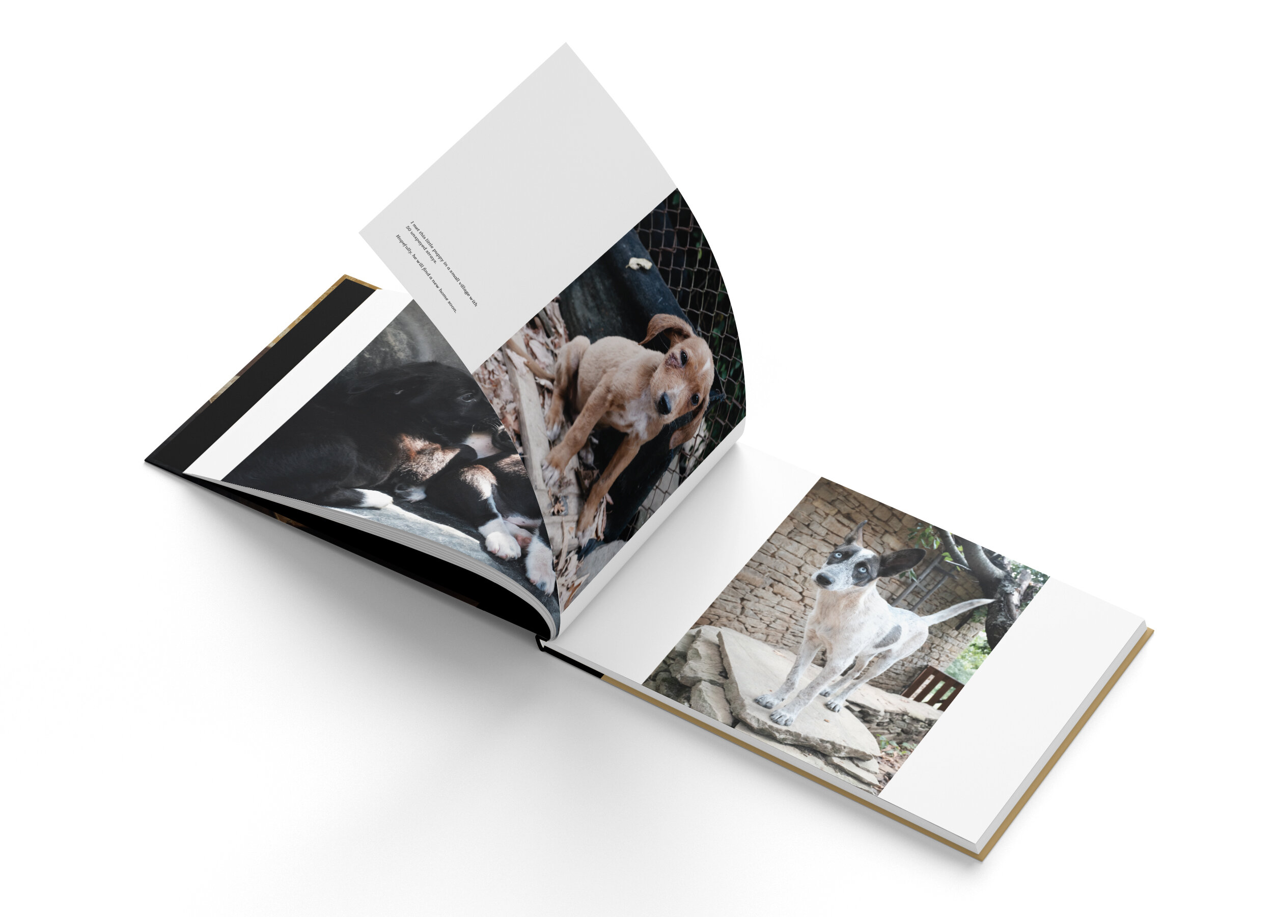 Everydaystray_Book_InnerPages_3_white.jpg