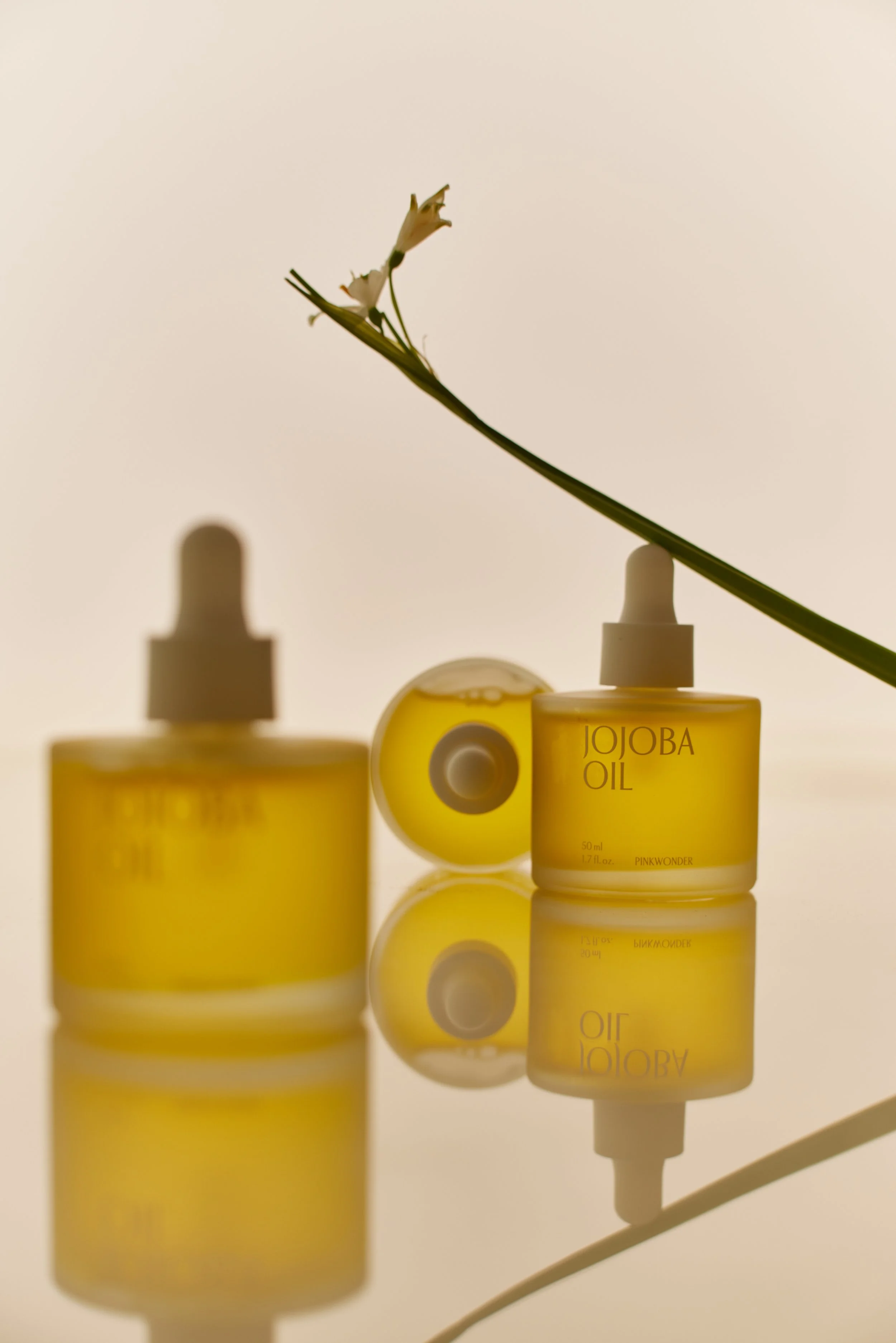 PINKWONDER_JOJOBA_0O8A9612.jpg