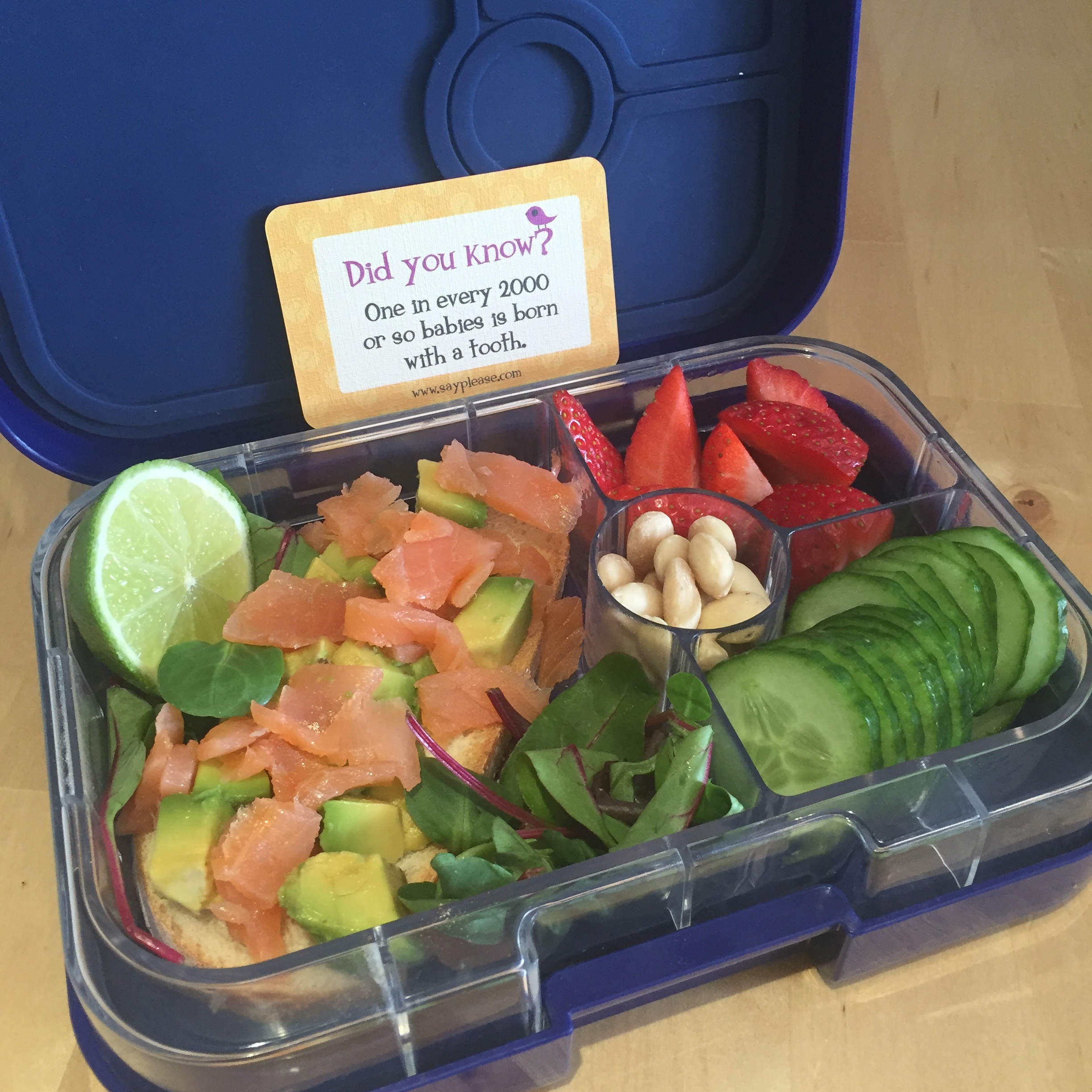 Lunchbox Love with Yumbox lunchbox v2