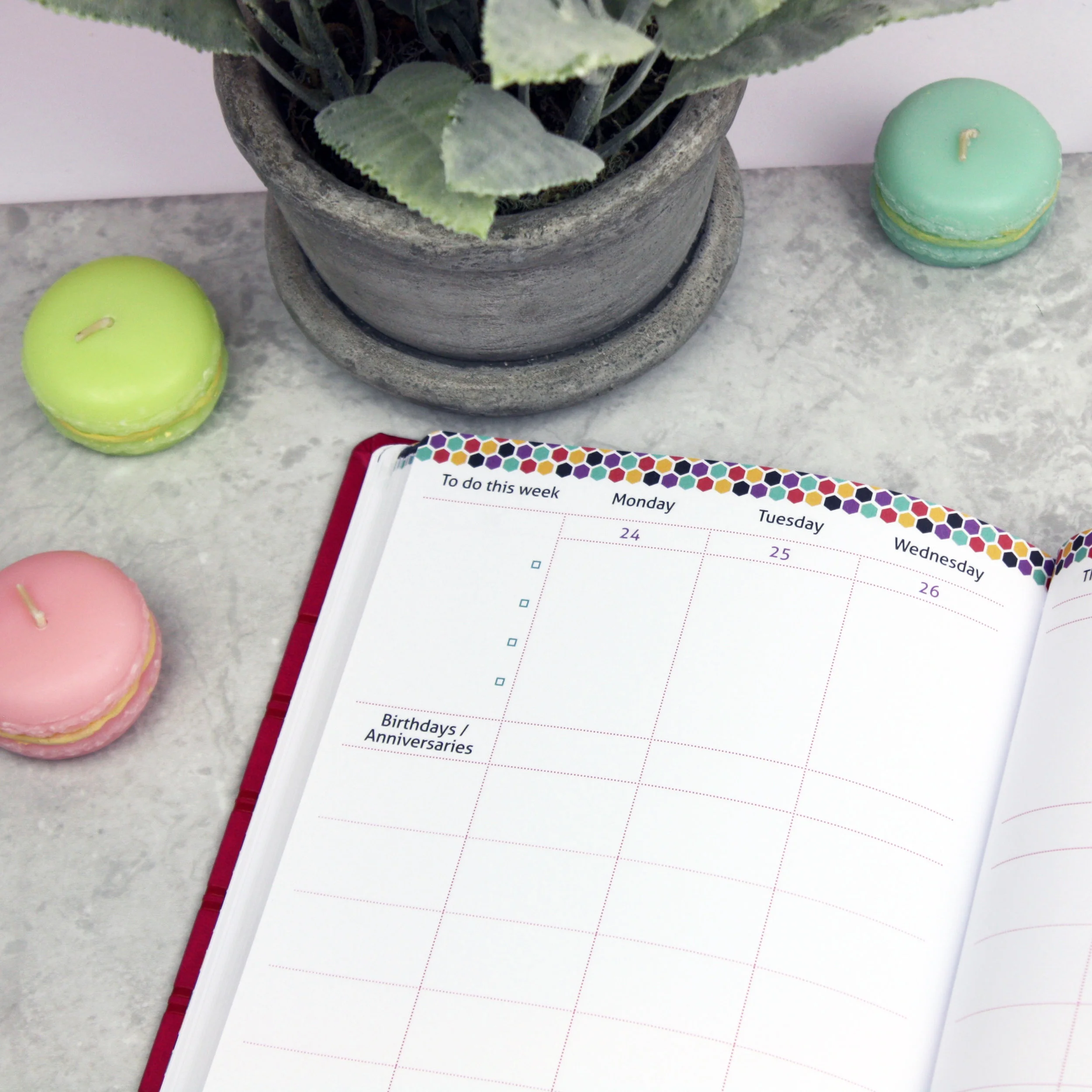The Master Plan 2017 Family Diary