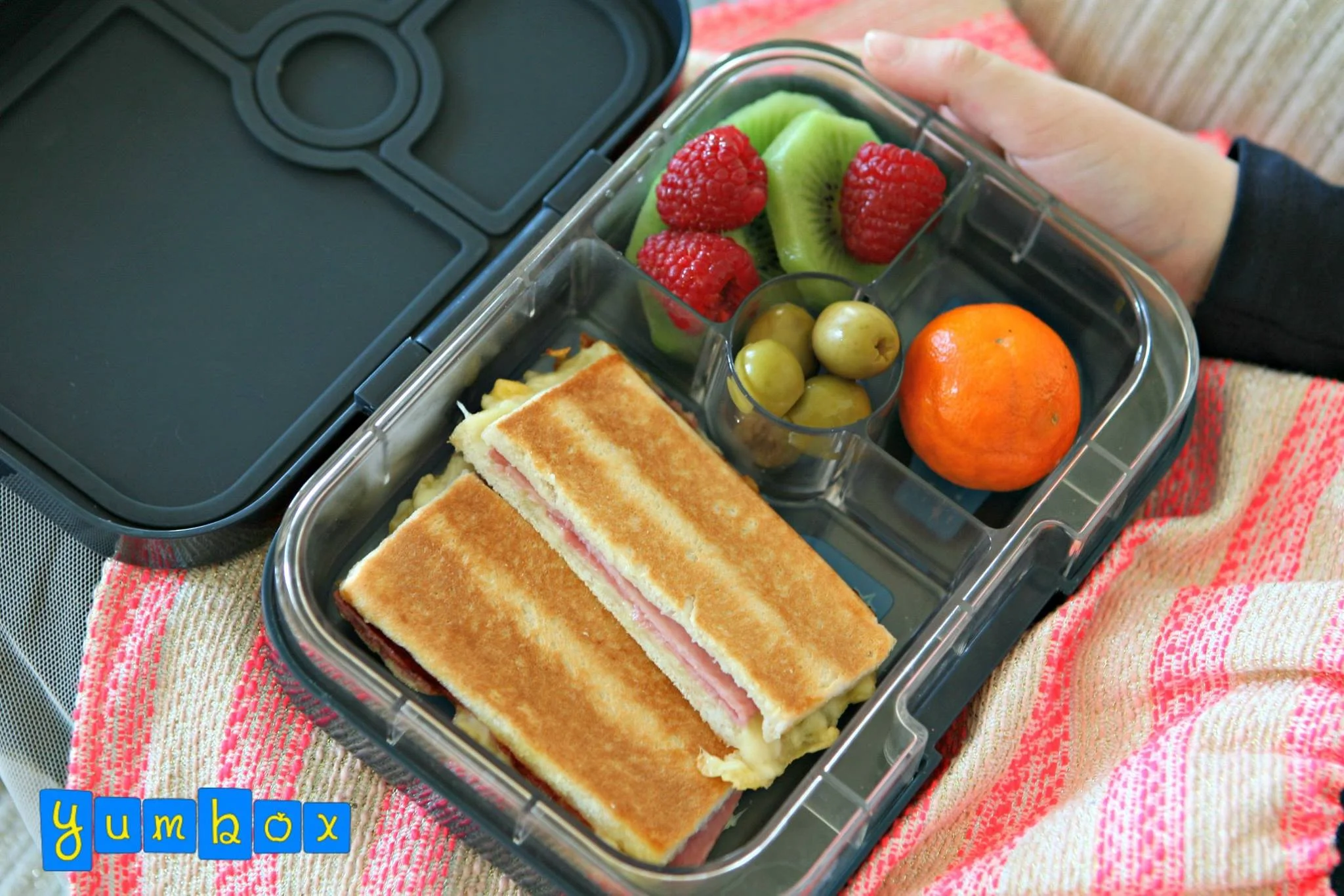 Yumbox Panino Lunchbox