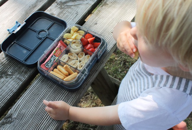 Minis and More - Yumbox Classic