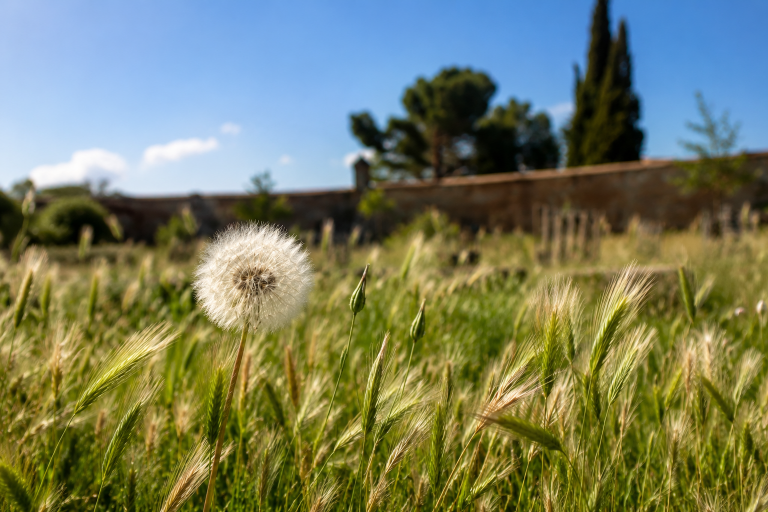 Día de Retiro de Mindfulness y Meditación en Madrid