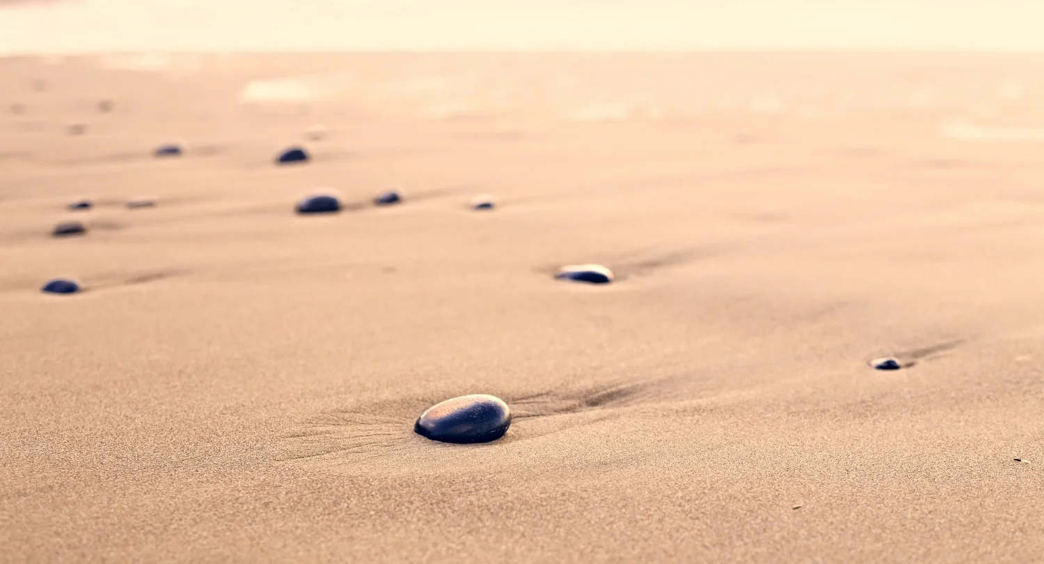 Taller de Introducción a Mindfulness