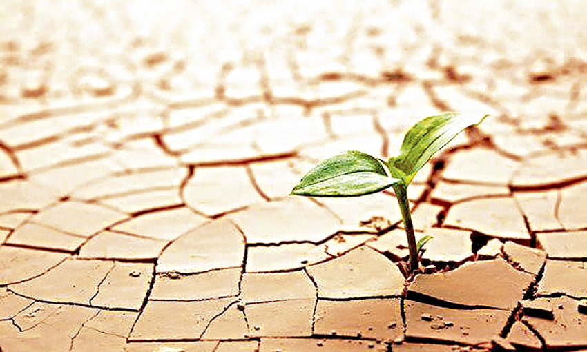 Formación Mindfulness y Depresión