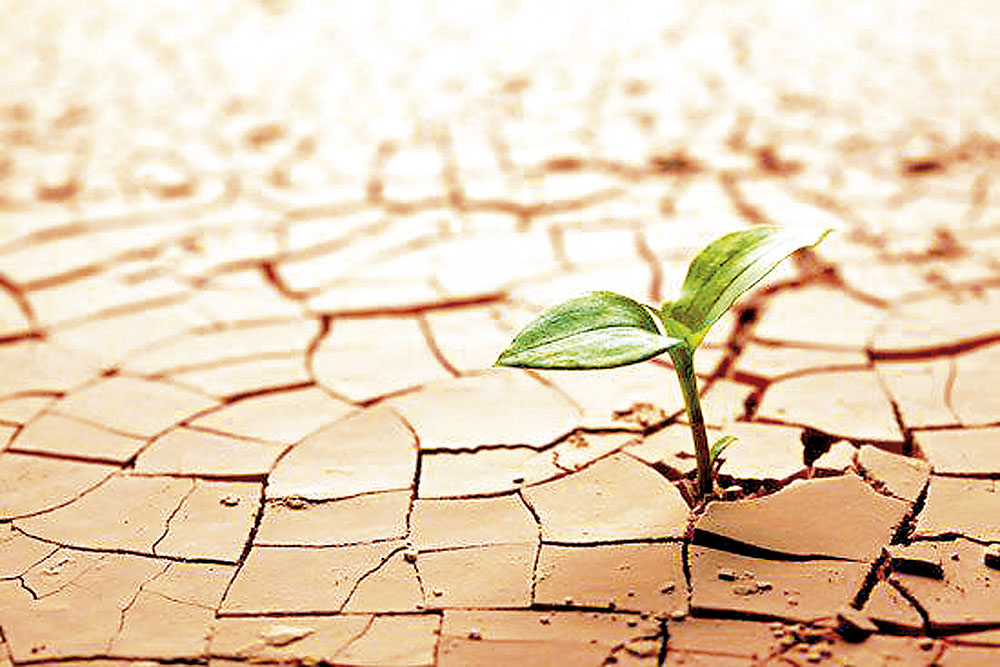 Formación Mindfulness y Depresión, Madrid. SUKHA MINDFULNESS 