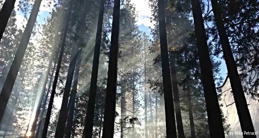 Tallere de Introducción a Mindfulness Madrid - SUKHA Mindfulness