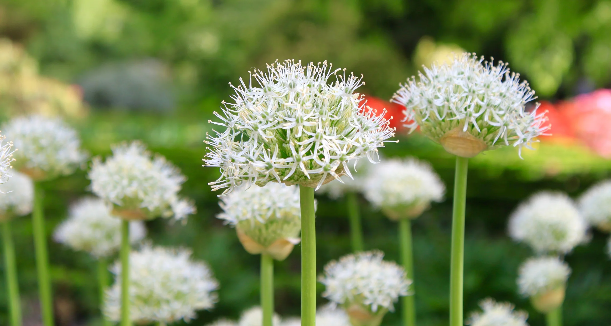 !Taller de Introducción a Mindfulness en Madrid- SUKHA Mindfulness