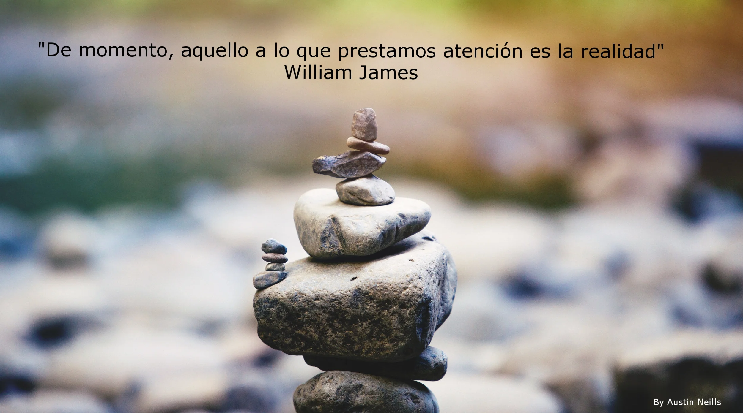 Sukha Mindfulness - BLOG
