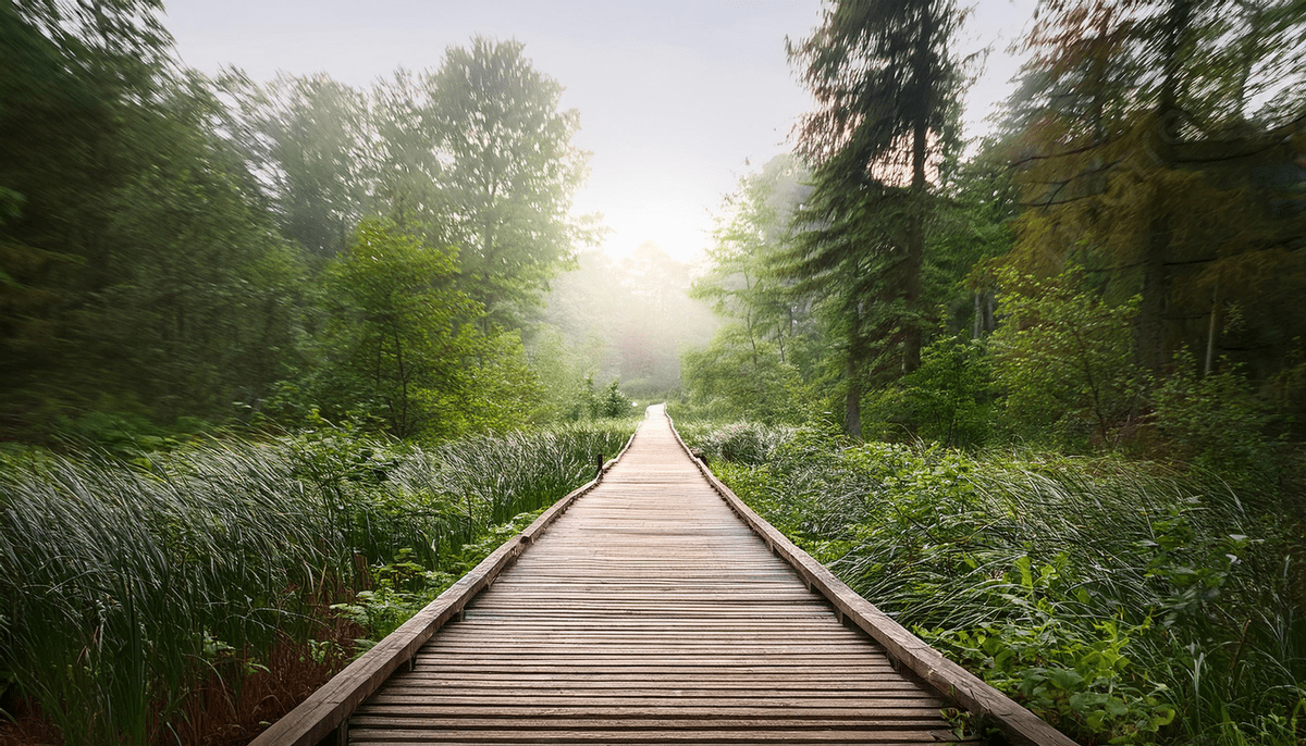 MBSR - Curso de Mindfulness 8 Semanas