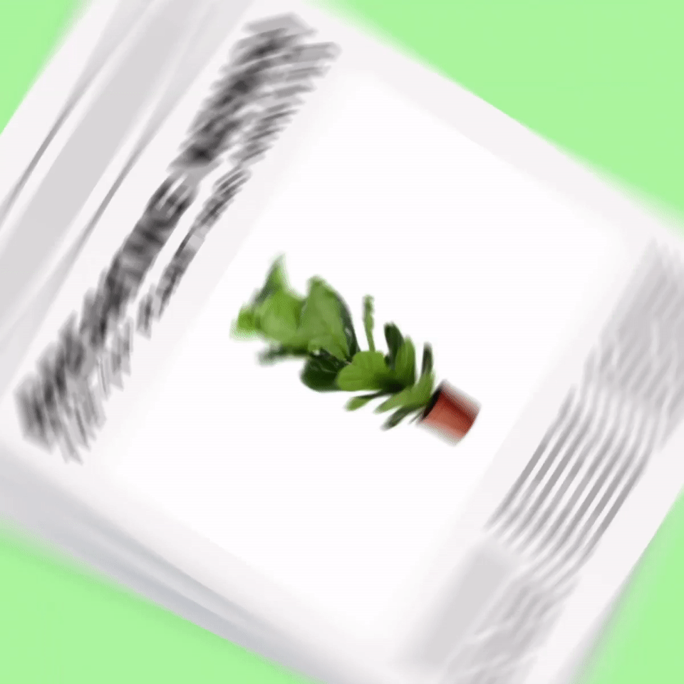The plant everyone is re-pinning, re-blogging and re-gramming has arrived at IKEA stores all over Australia. Green, glossy and low maintenance – it’s the perfect indoor plant!