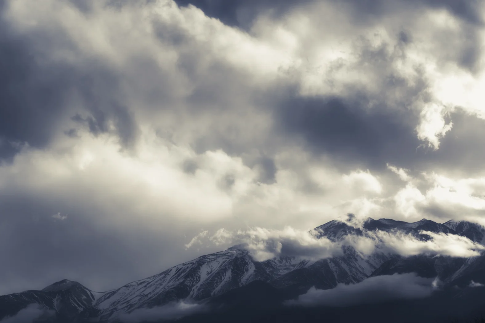 Landscape_round2_website (6 of 28).jpg