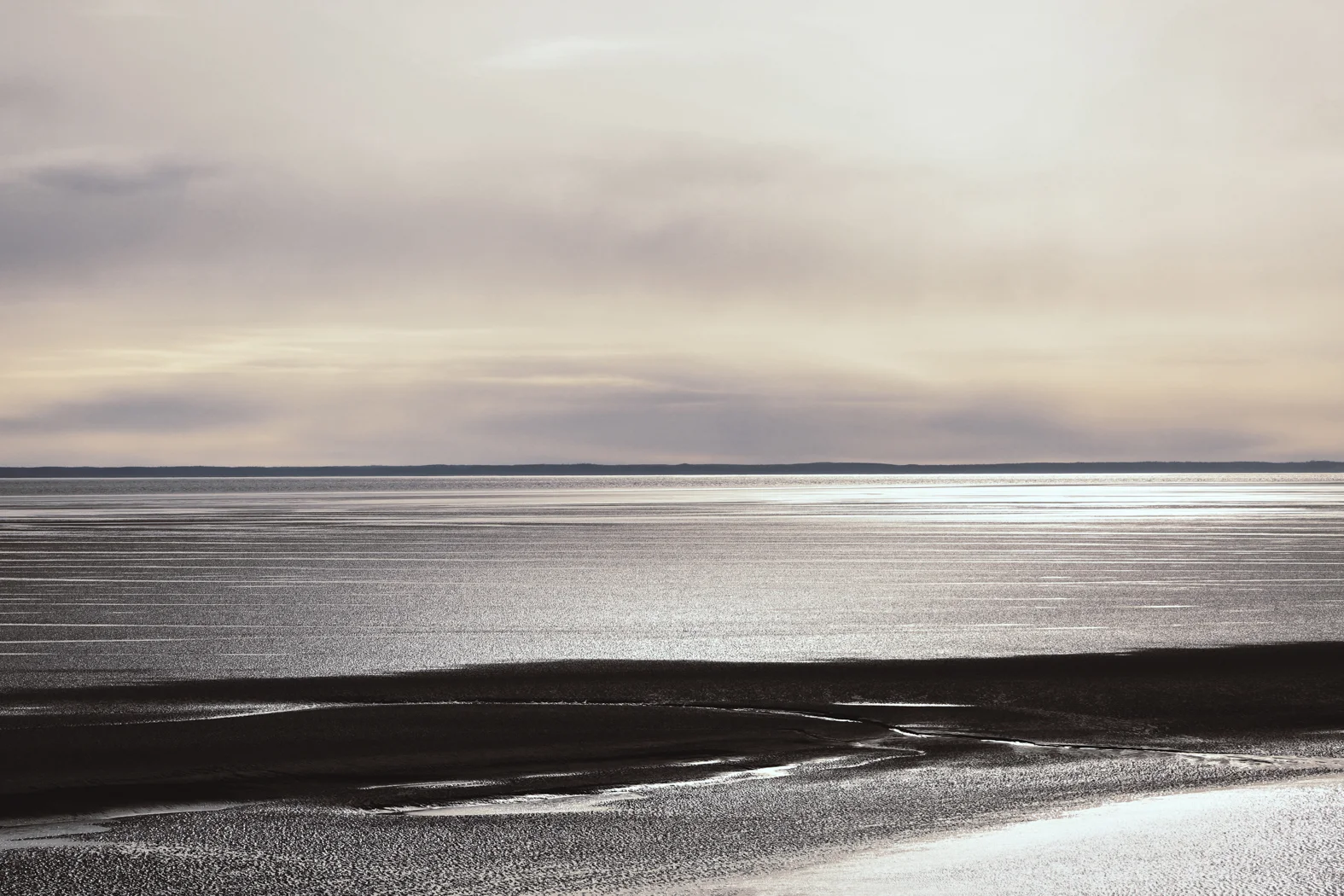 Landscape_round2_website (15 of 28).jpg