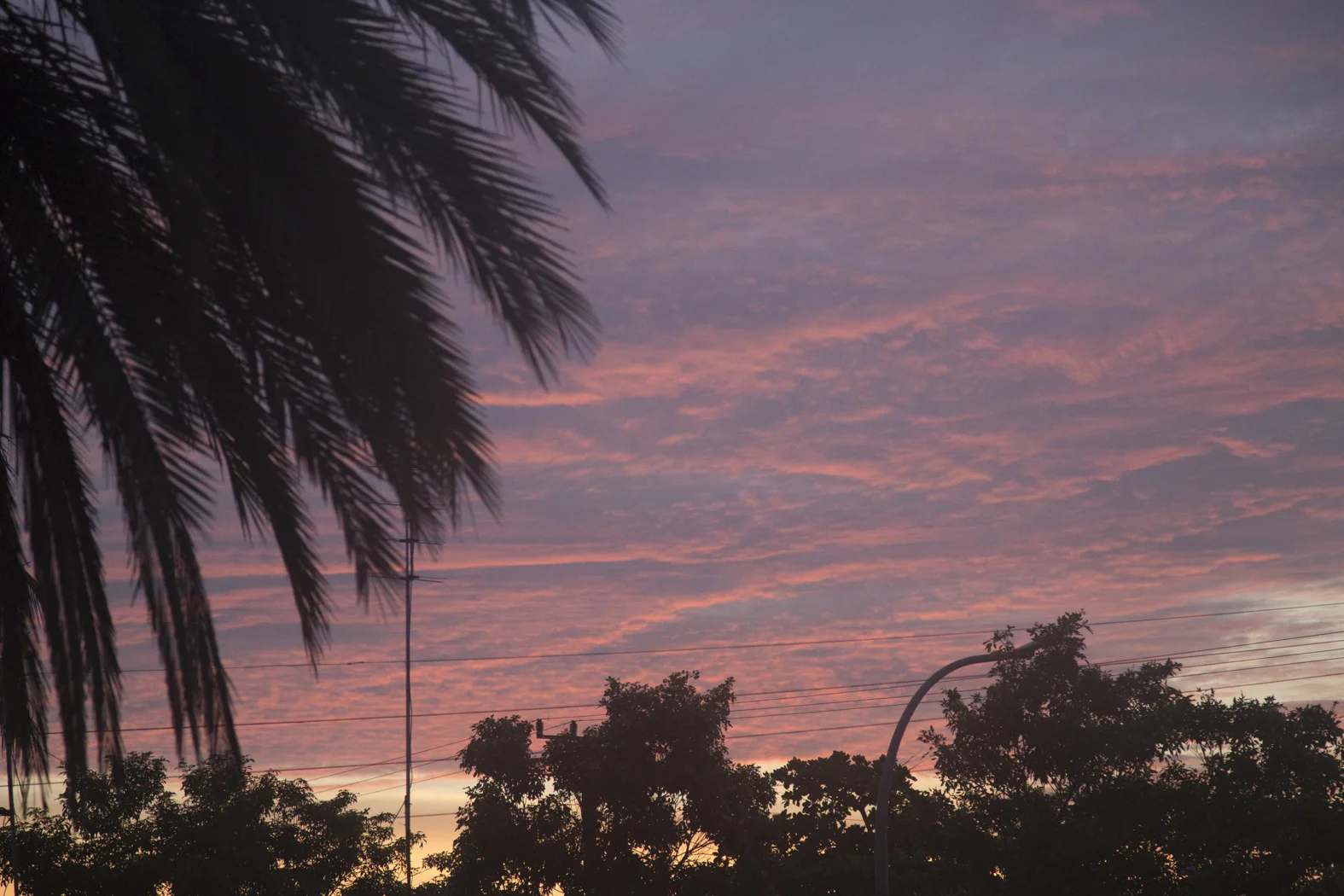 Landscape_round2_website (19 of 28).jpg