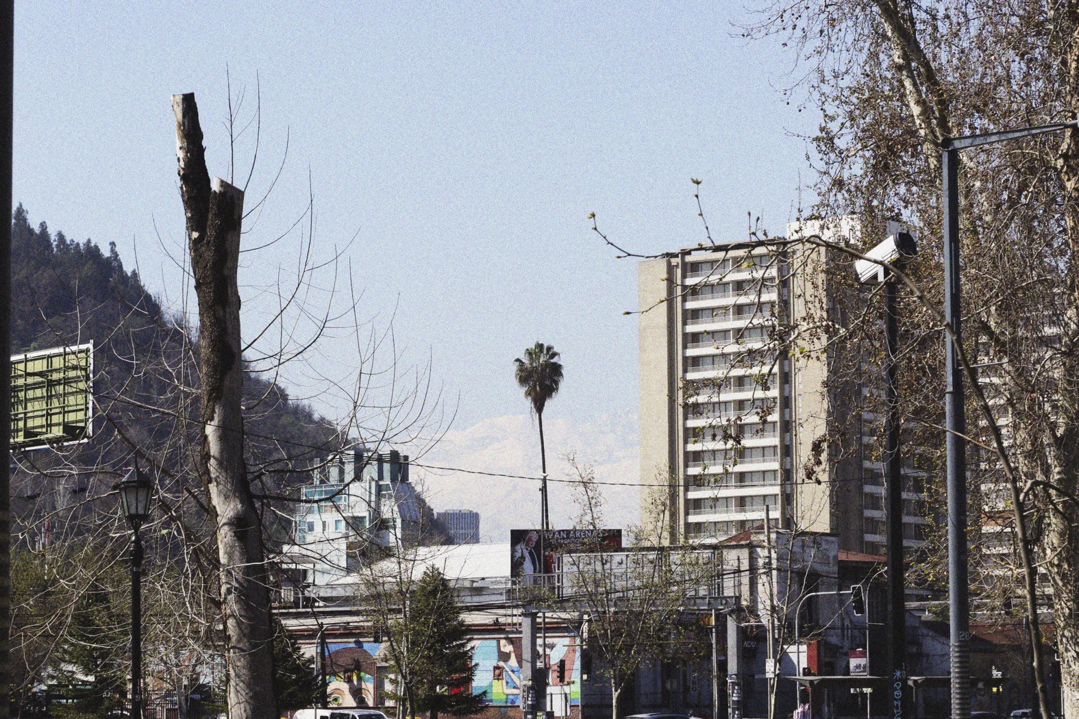 Landscape_round2_website (23 of 28).jpg
