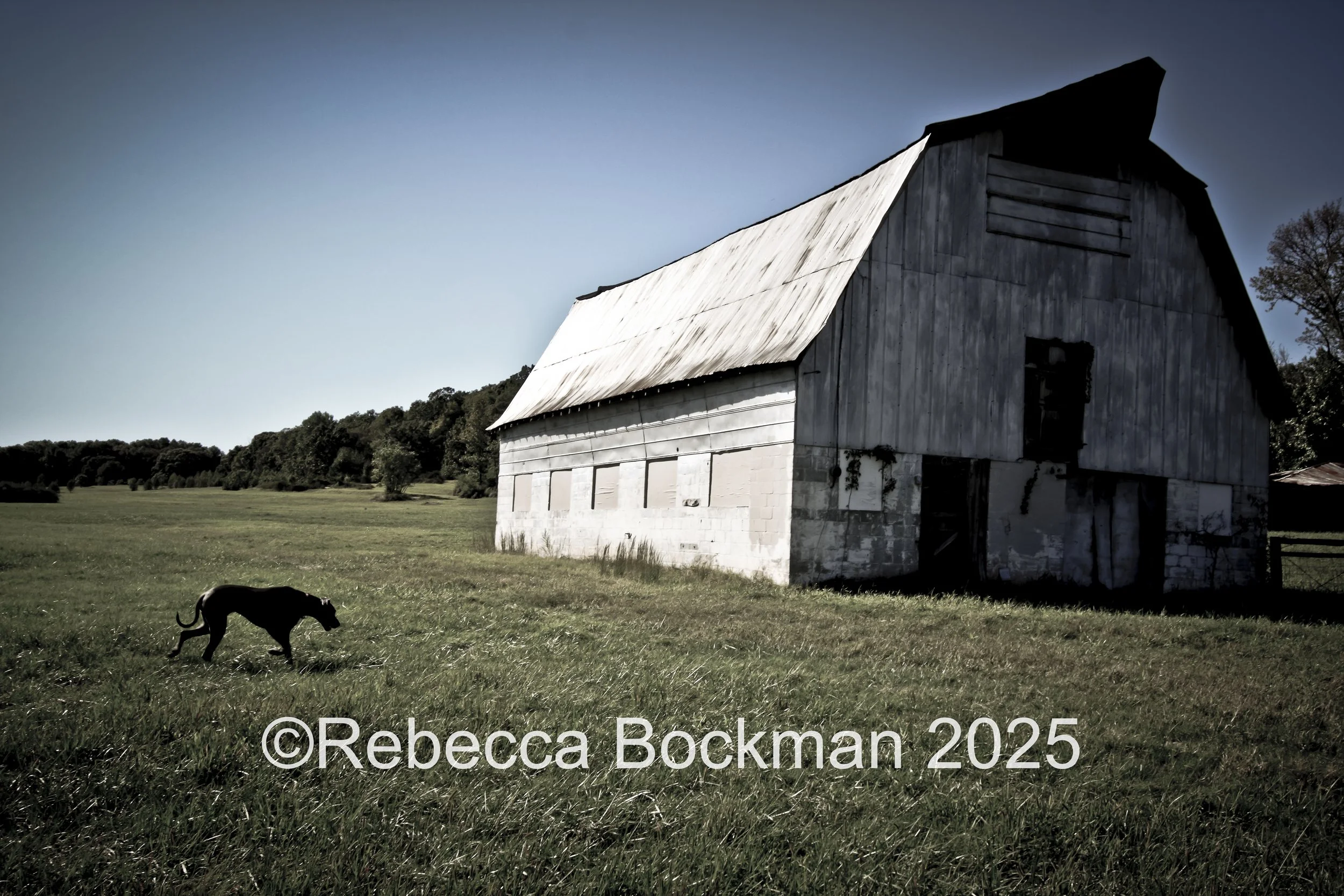 RTBPhotoAnimals2025-11.jpg