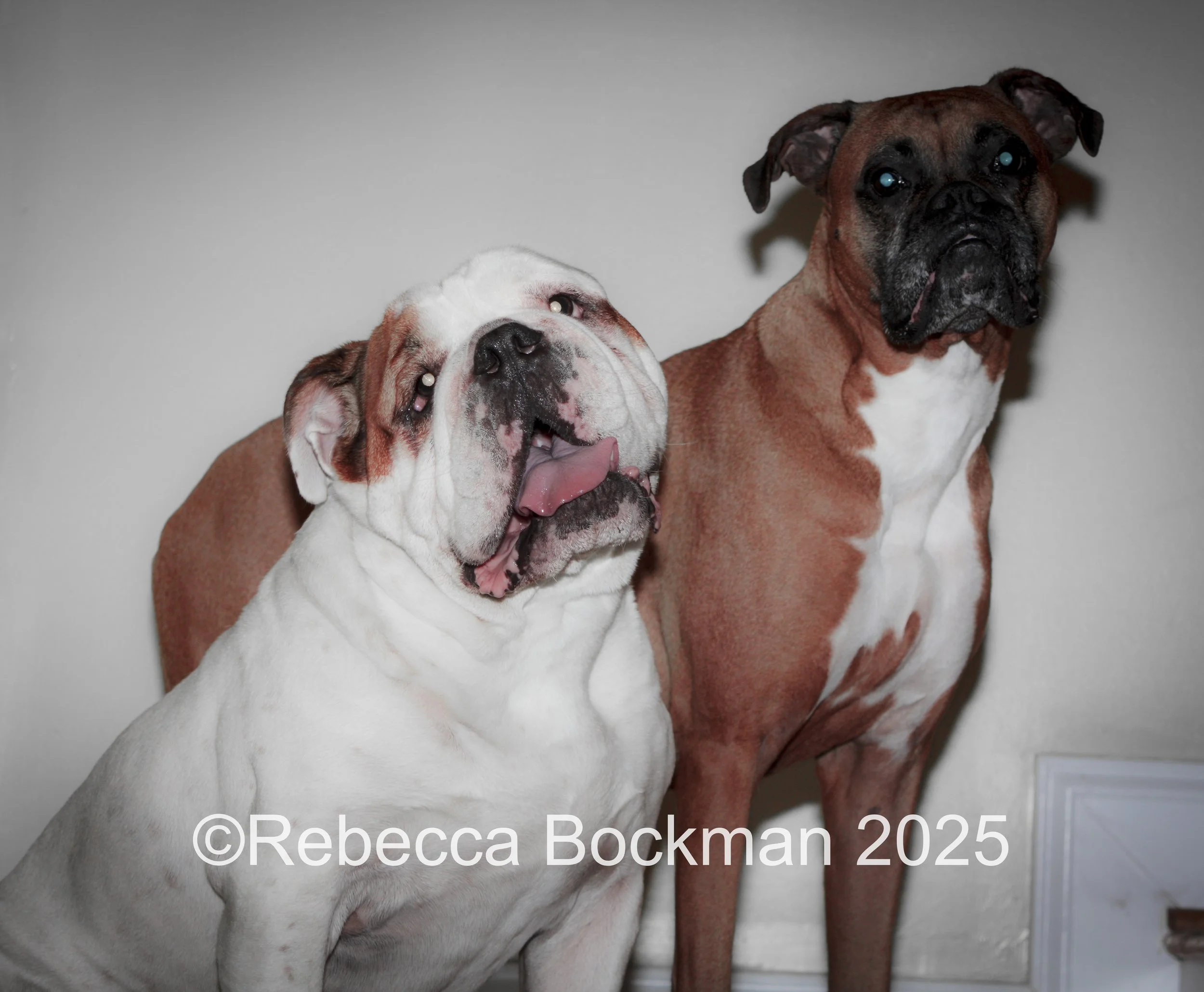 RTBPhotoAnimals2025-14.jpg