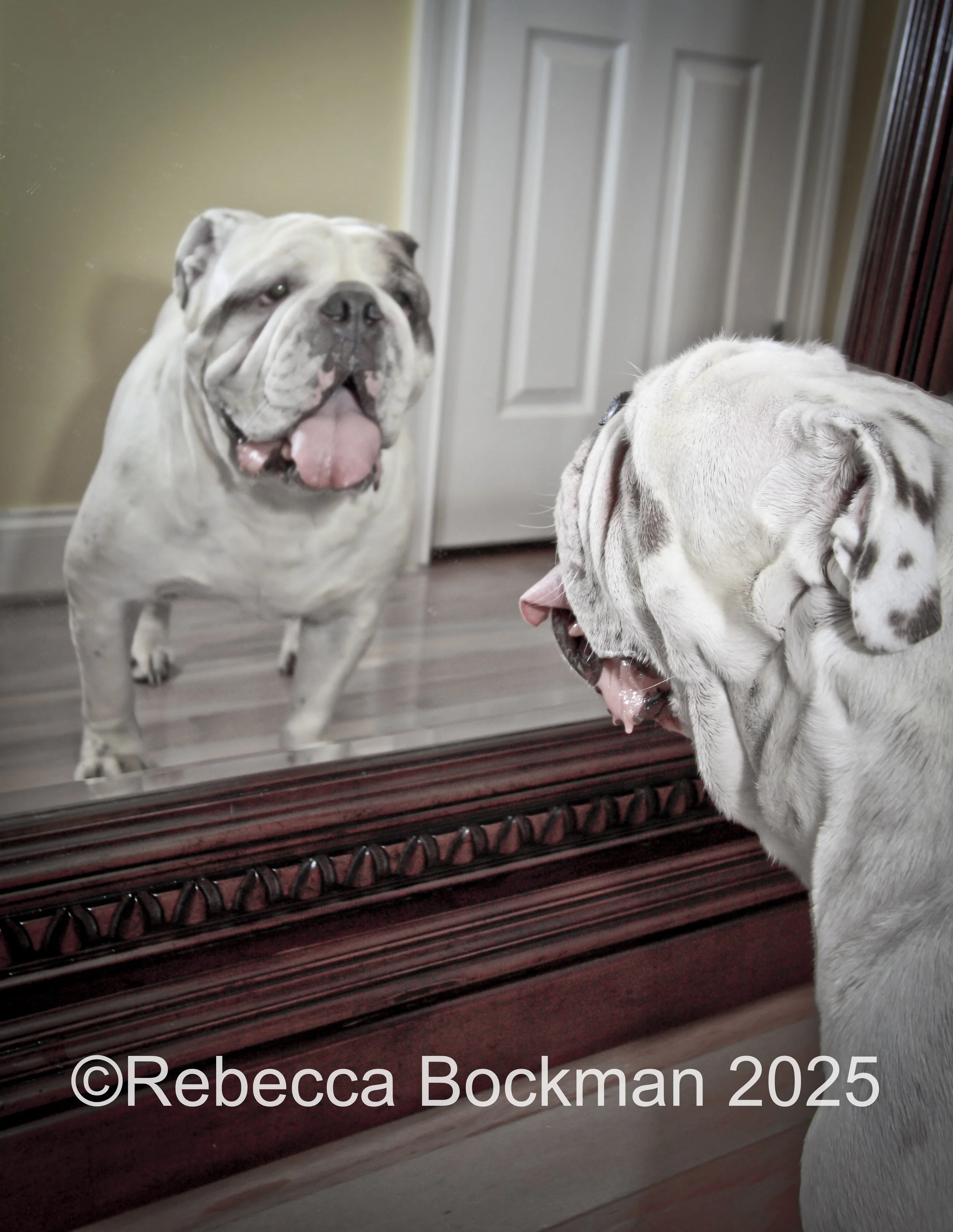 RTBPhotoAnimals2025-17.jpg