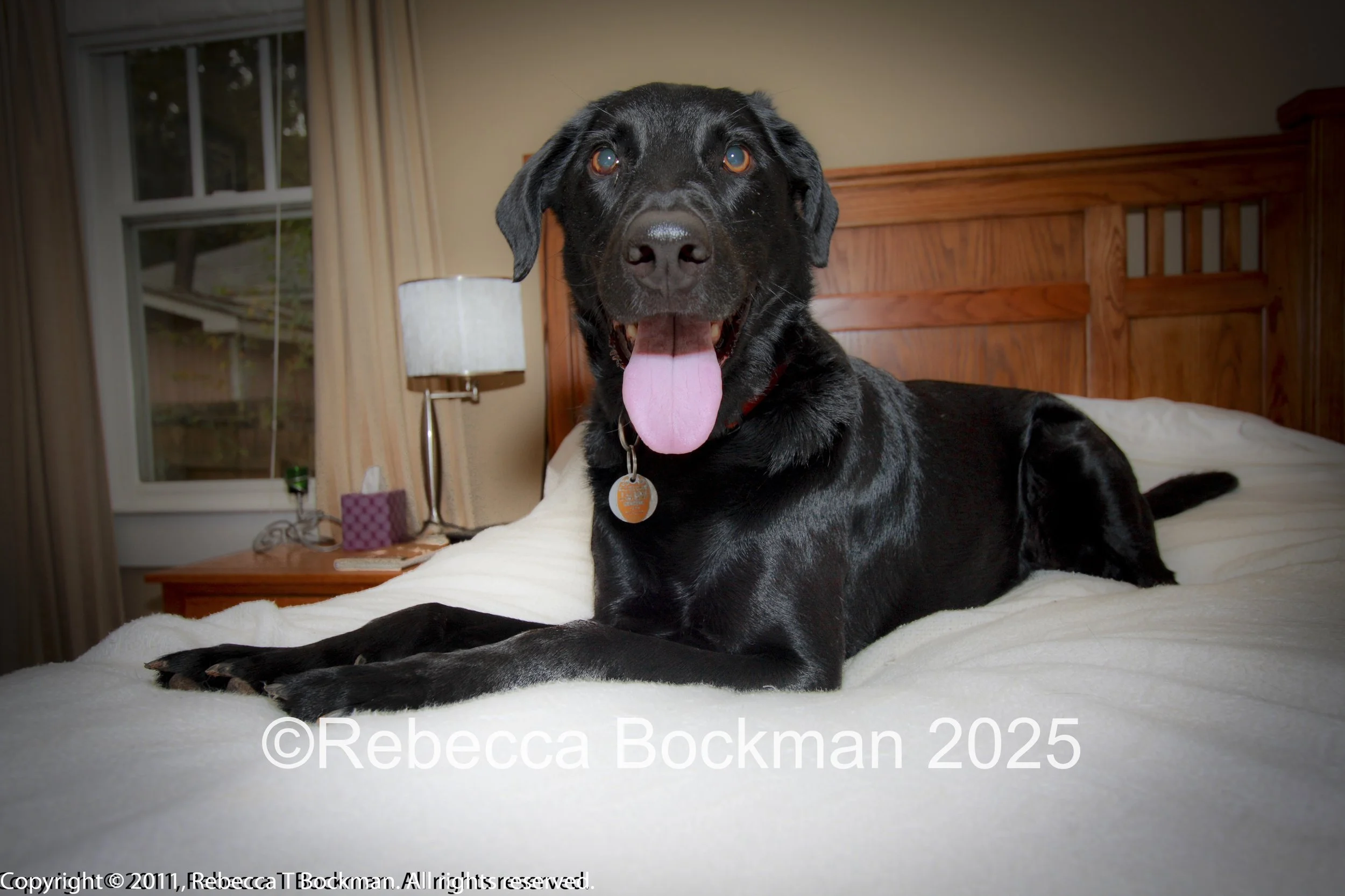 RTBPhotoAnimals2025-21.jpg