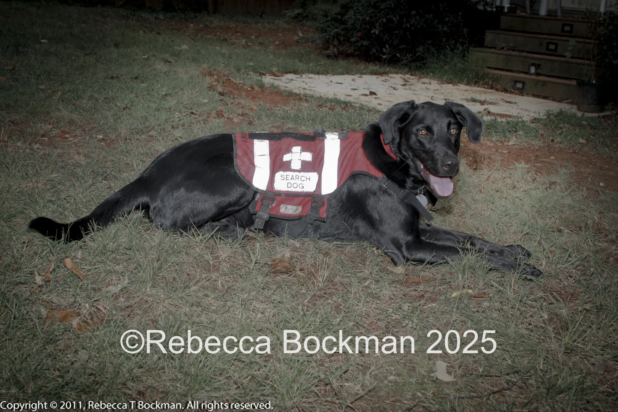 RTBPhotoAnimals2025-23.jpg