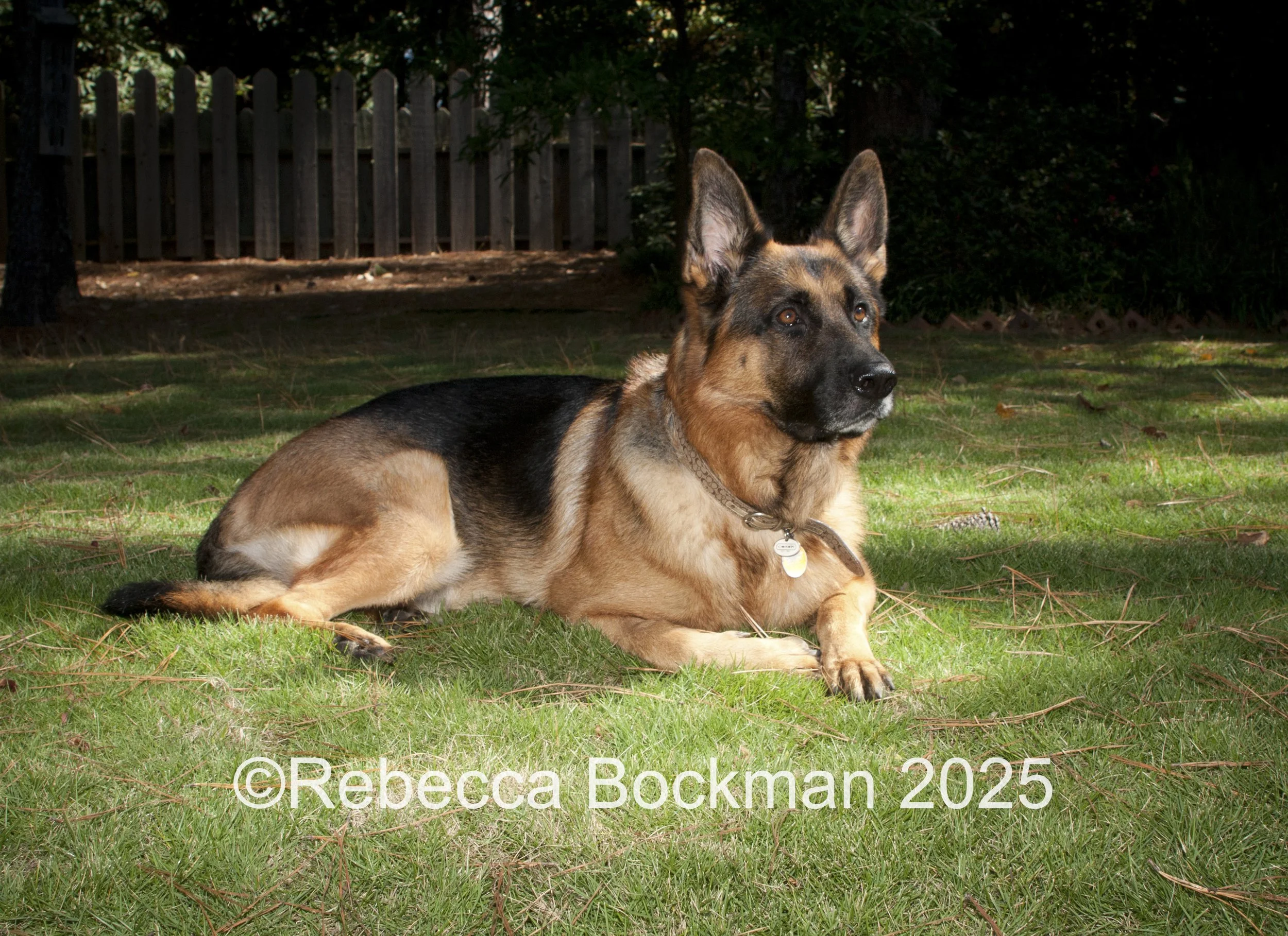 RTBPhotoAnimals2025-26.jpg