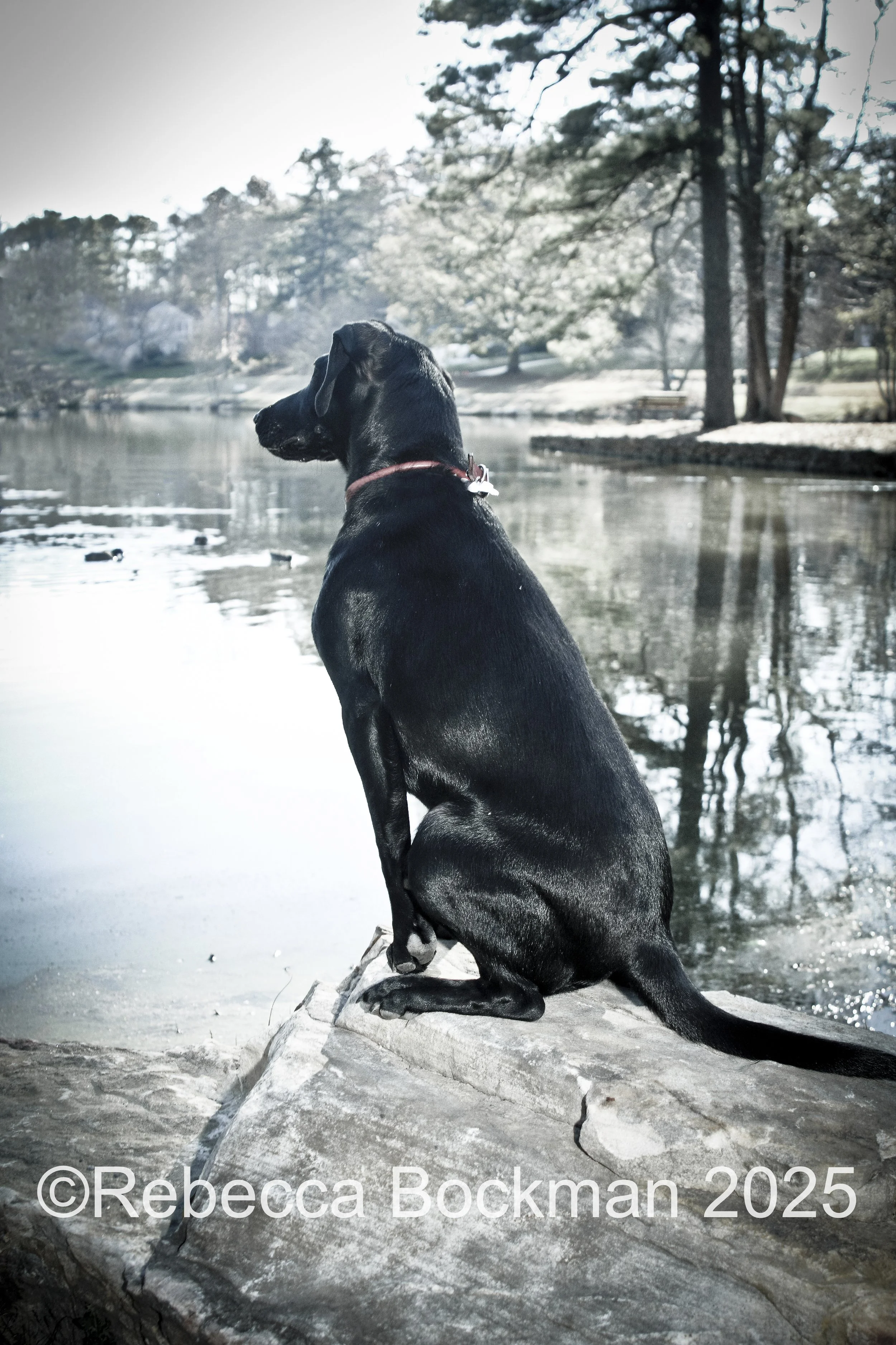 RTBPhotoAnimals2025-34.jpg