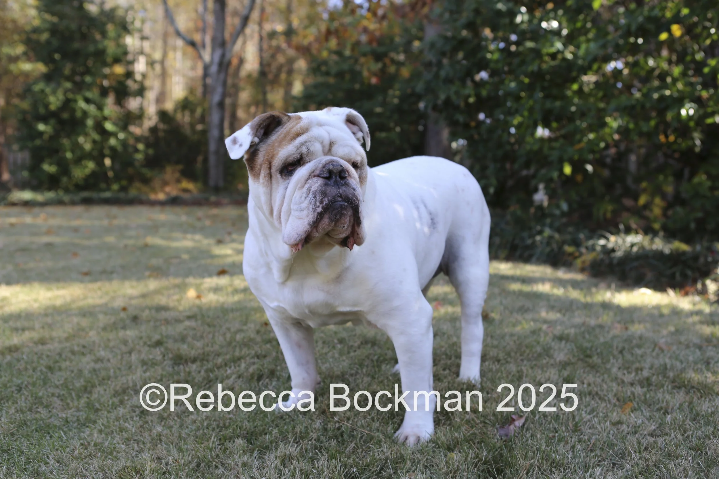 RTBPhotoAnimals2025-44.jpg