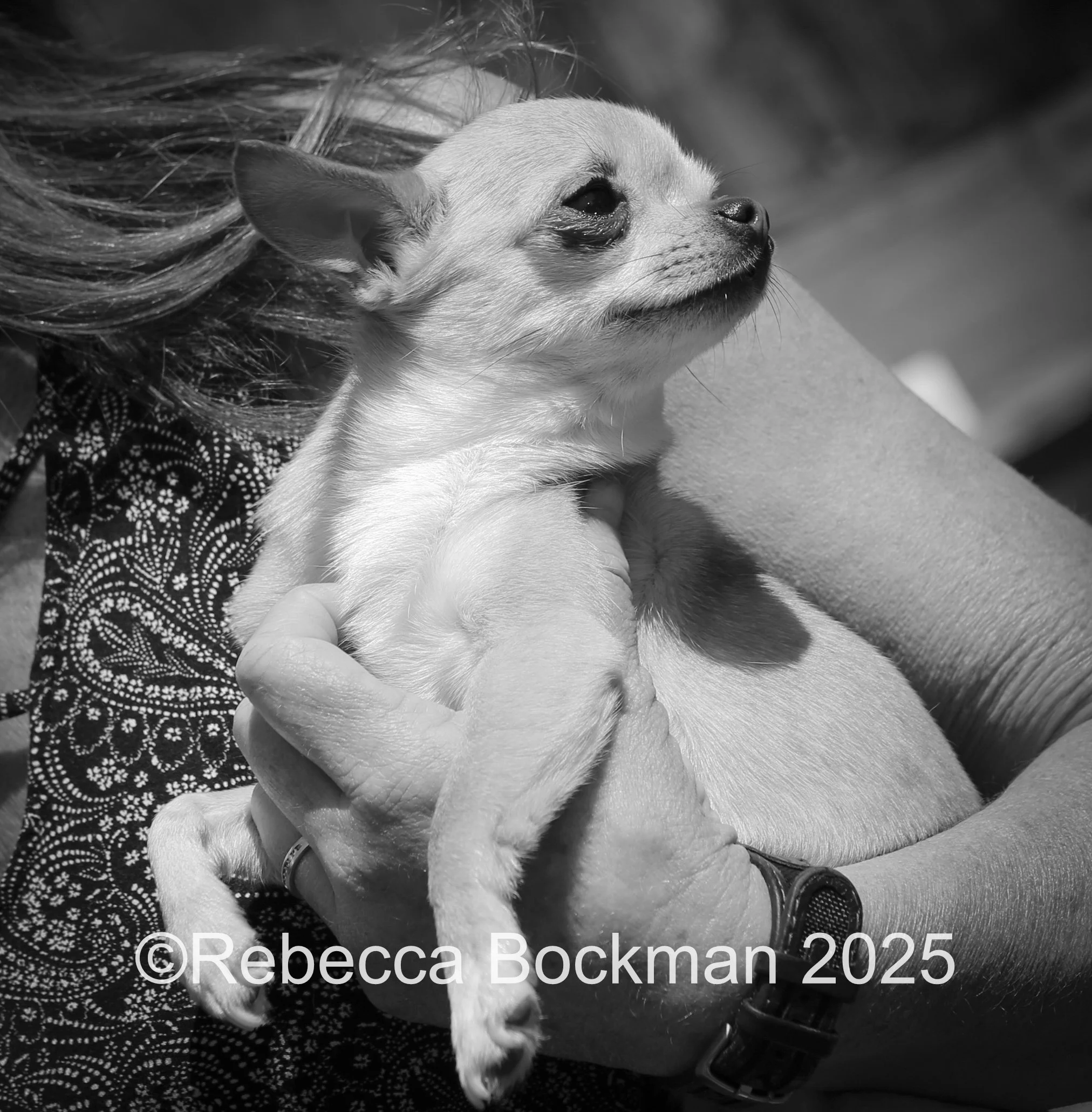 RTBPhotoAnimals2025-47.jpg