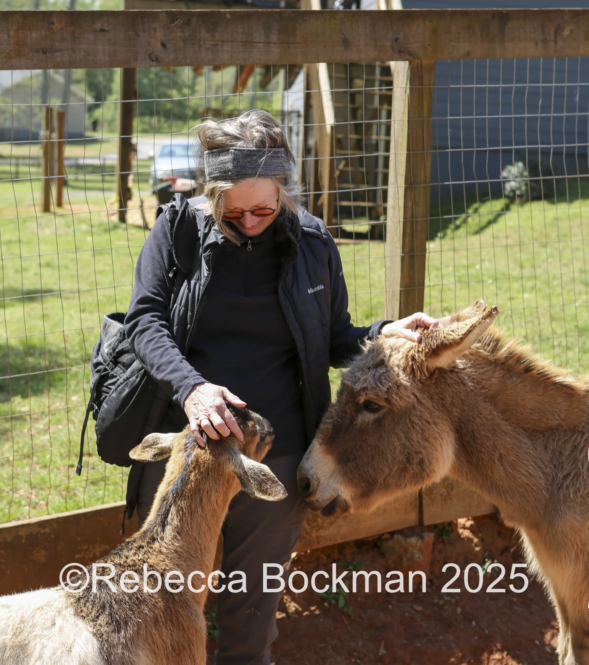 RTBPhotoAnimals2025-53.jpg