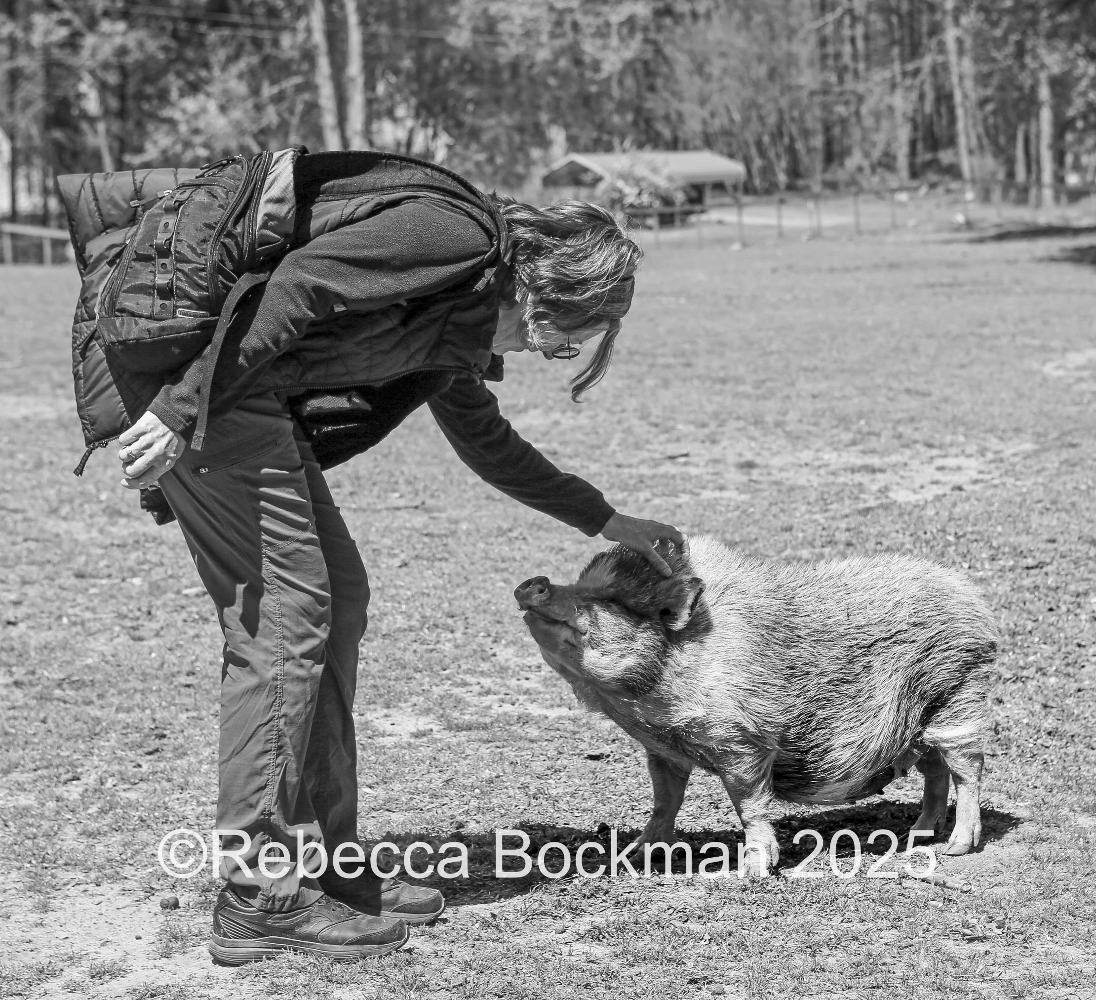 RTBPhotoAnimals2025-55.jpg