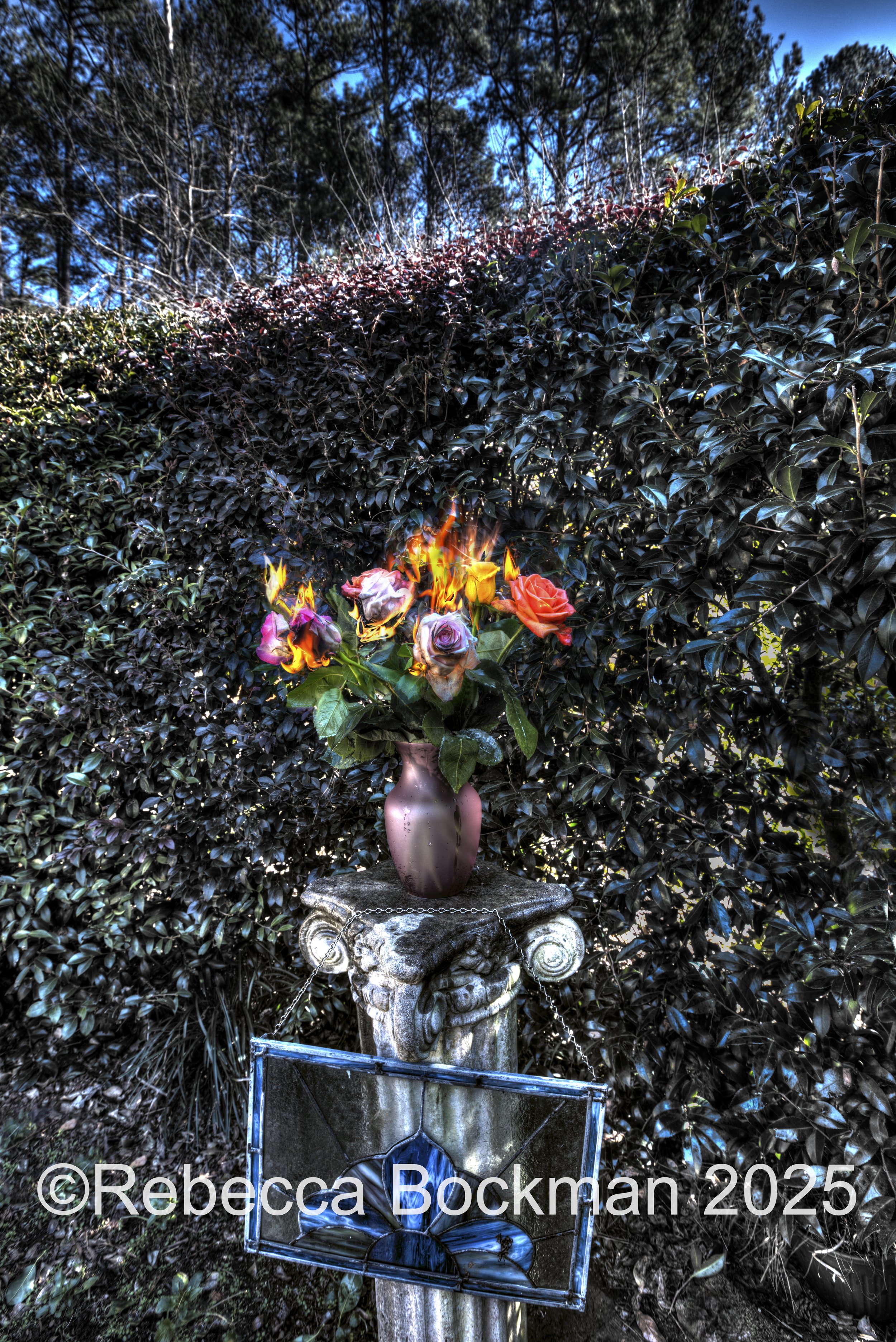 roses burning-3.jpg