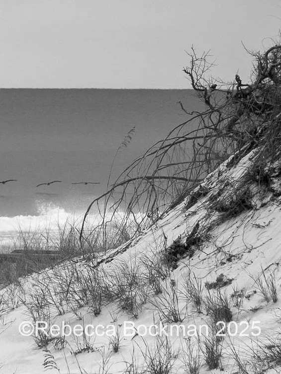 BeachSet1.jpg