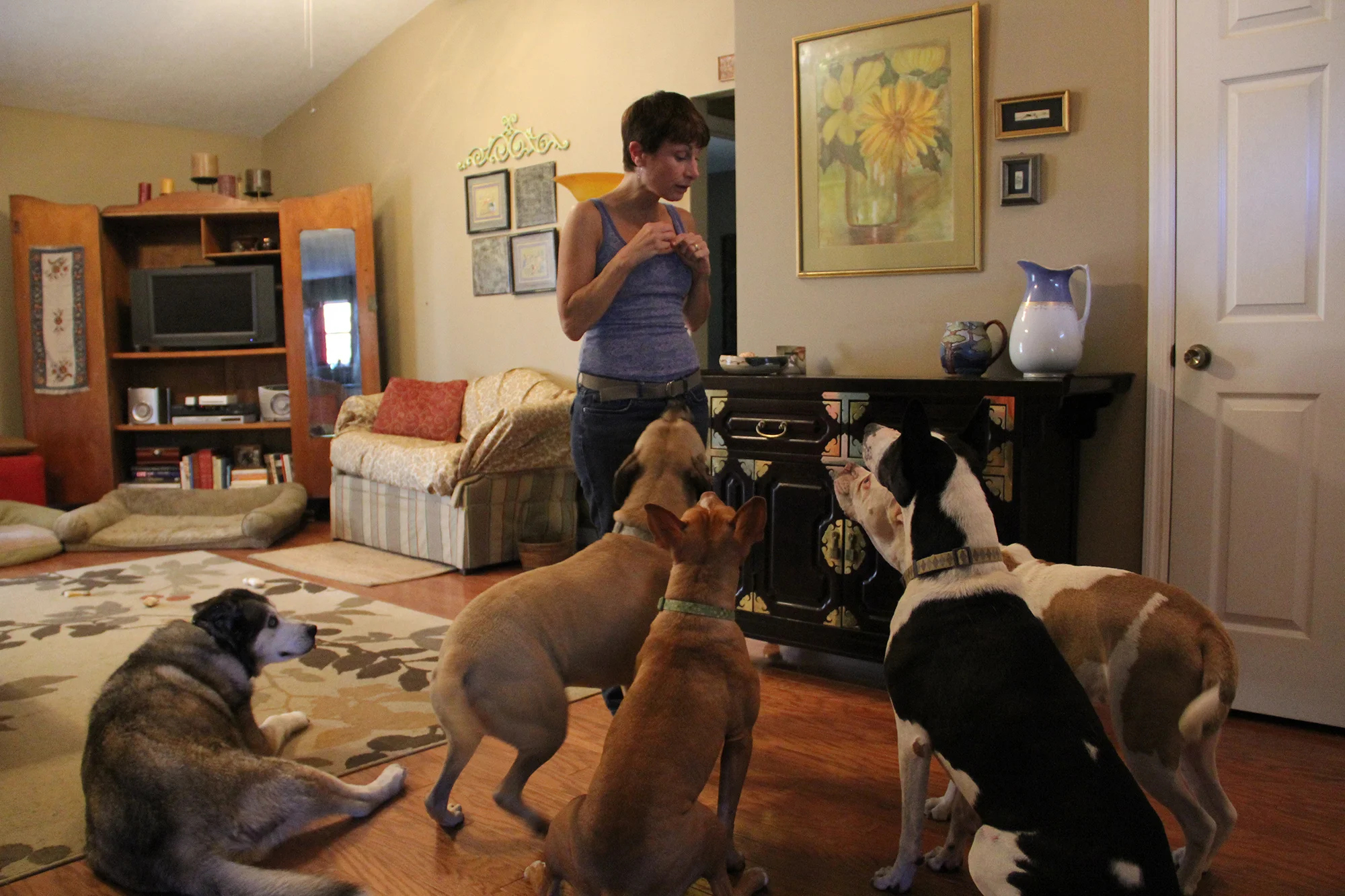 doglady1.jpg