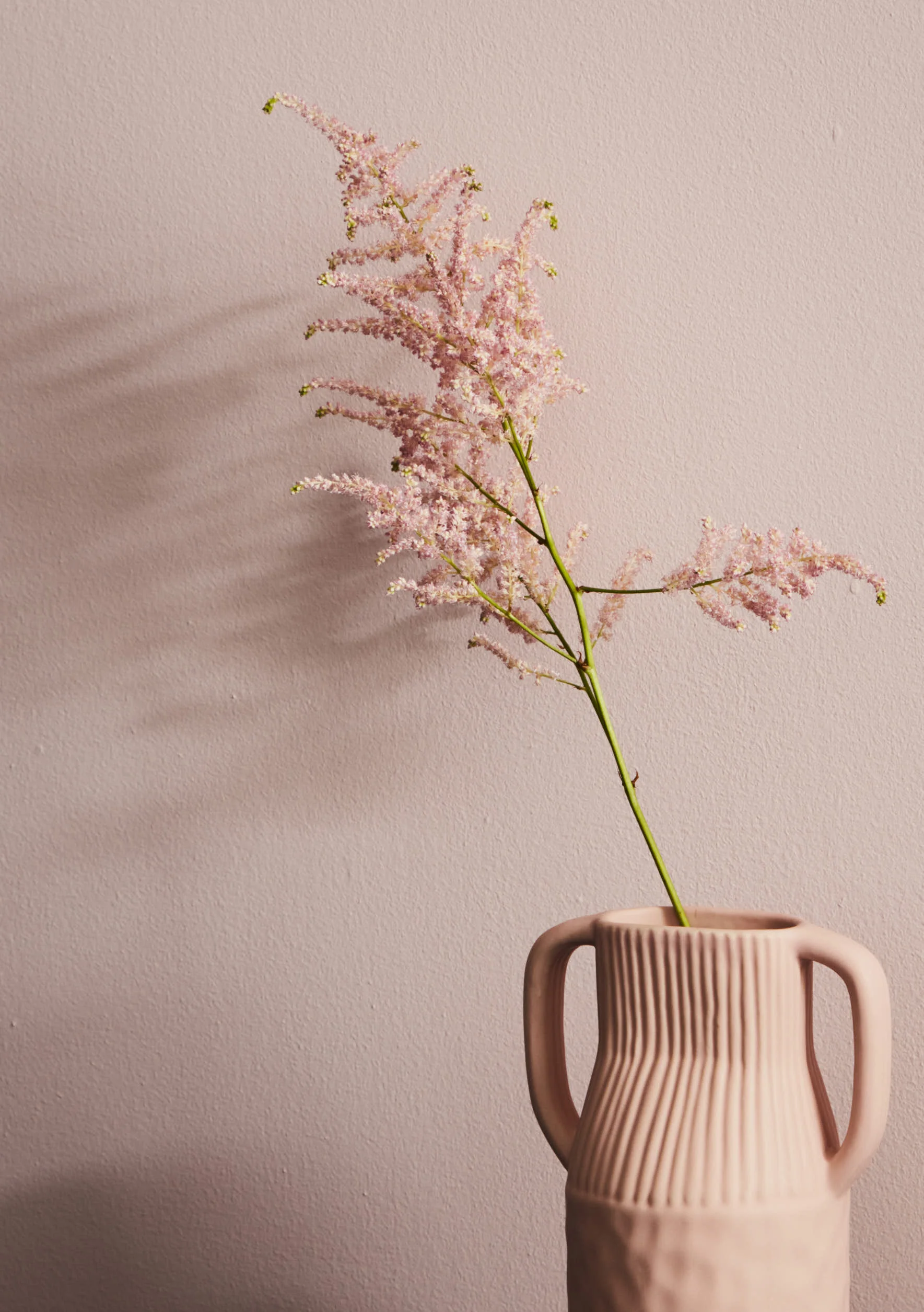 pink flower 180428_AmandaColourTest4216 copy.jpeg