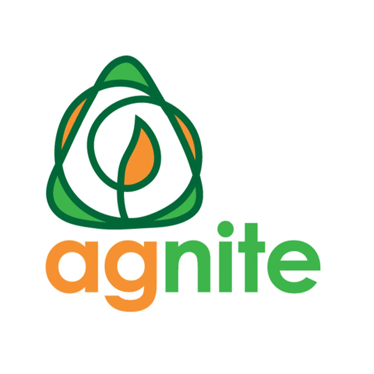 logos_0009_agnite_logo-02.jpg