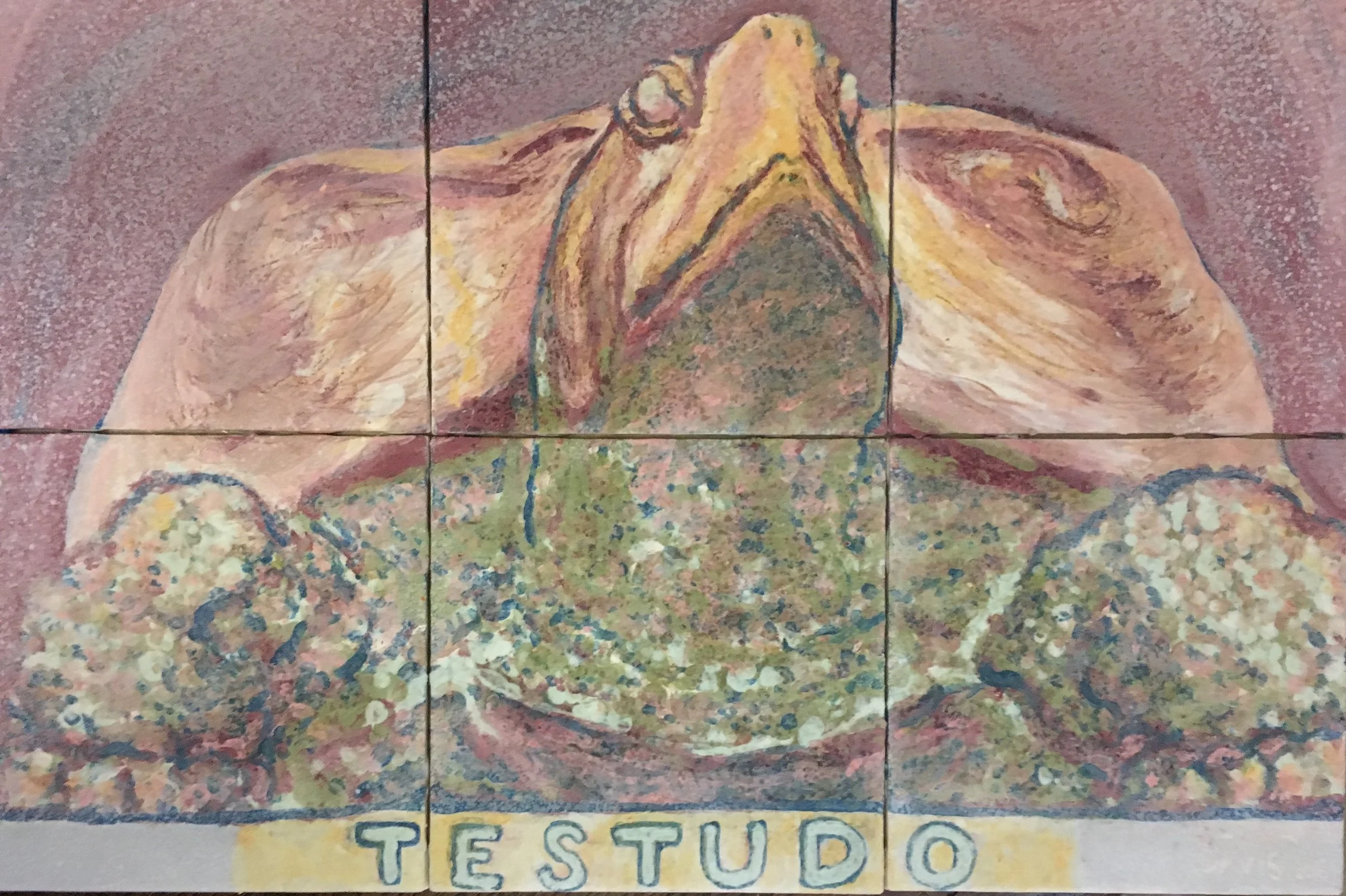 testudo