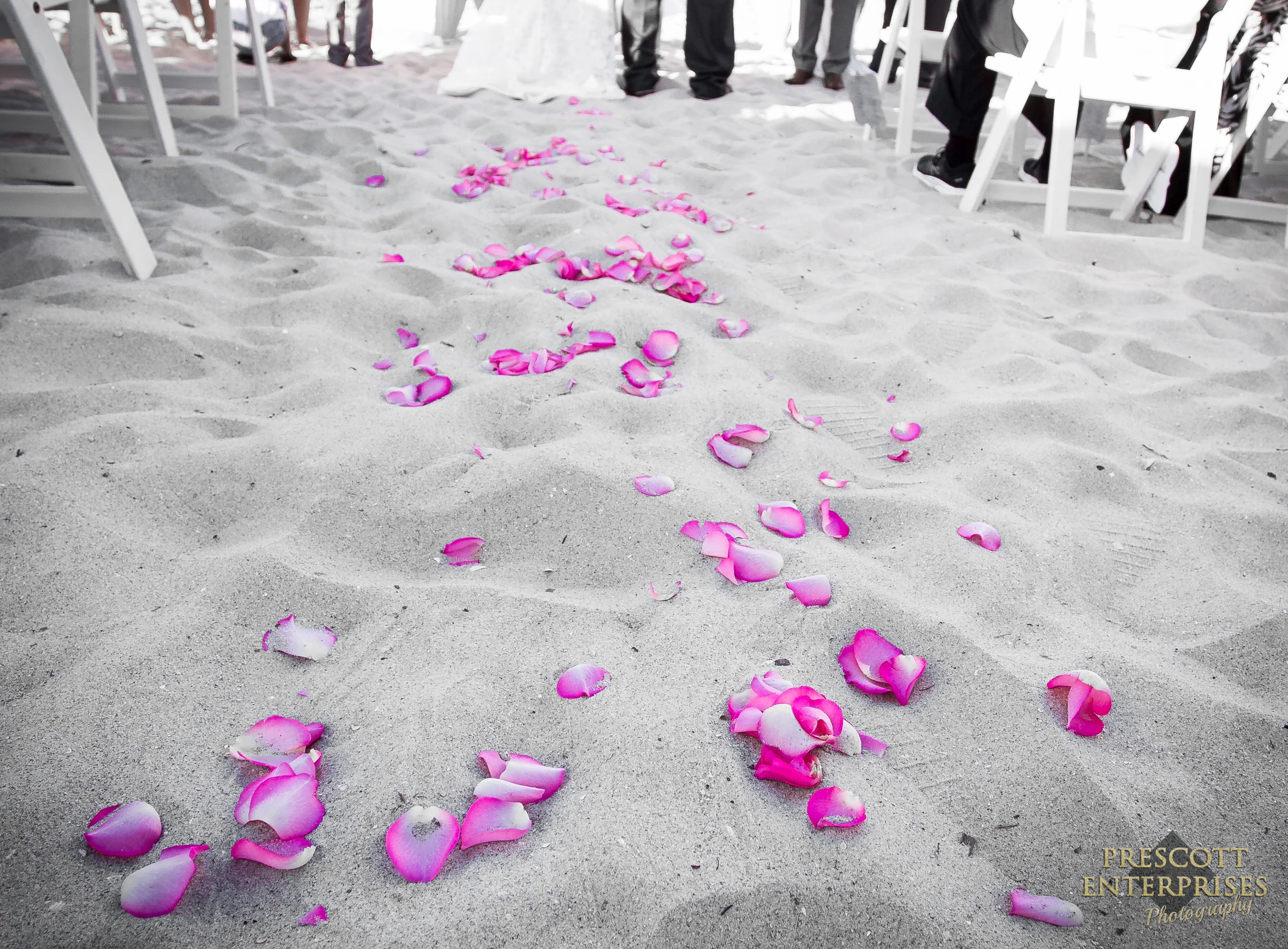 ScofieldWedding-1-113.jpg