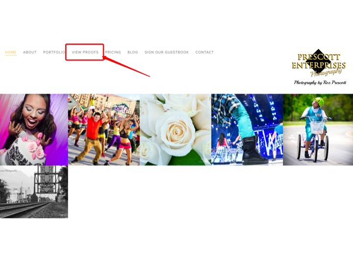 1. Visit www.prescottenterprises.com and click on "View Proofs" to access the galleries