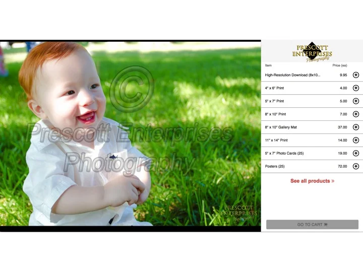 5. View "Express Shopping" options in the price list to the right (these are the most commonly purchased items):