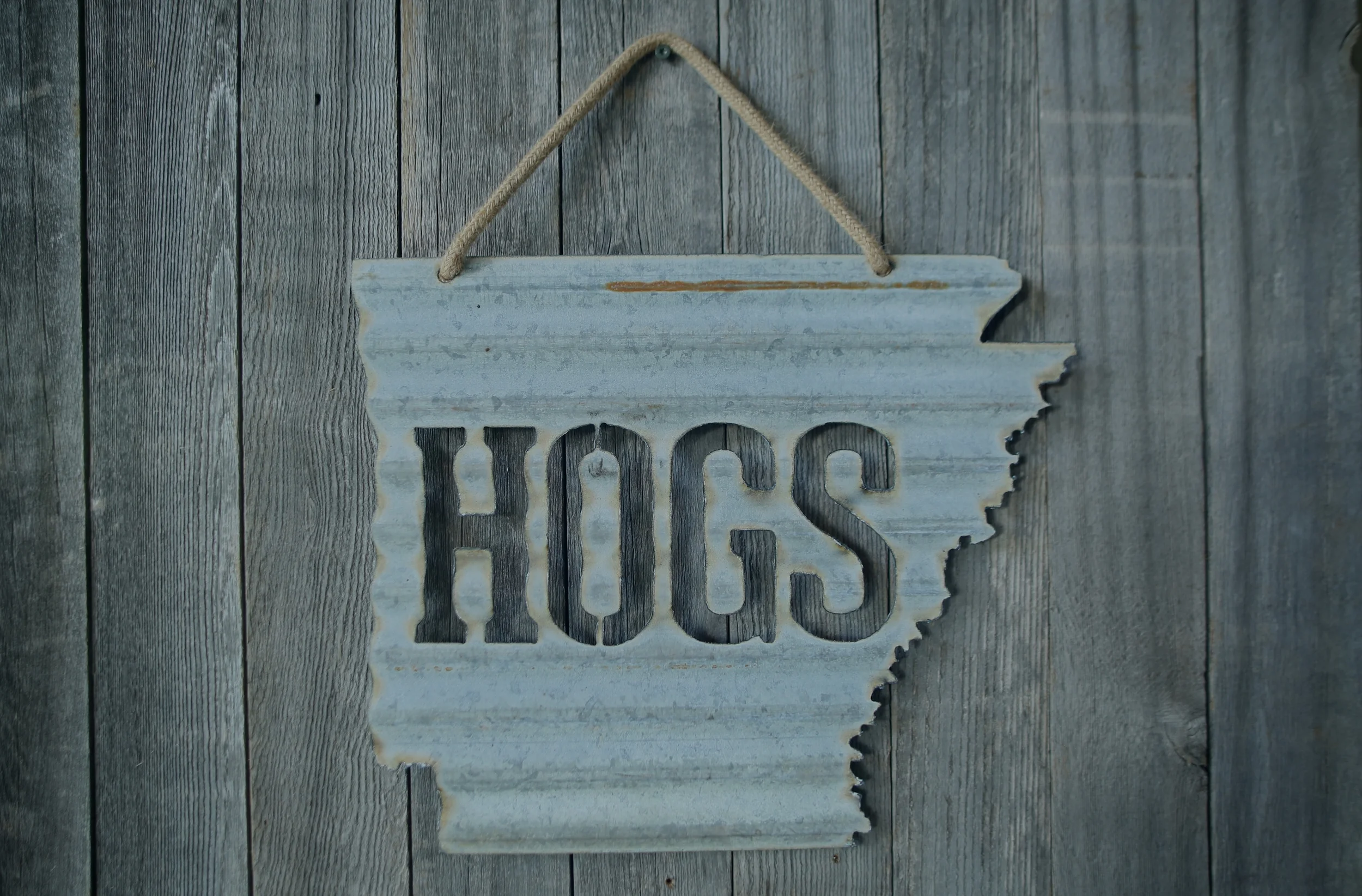 Arkansas %22HOGS%22.JPG