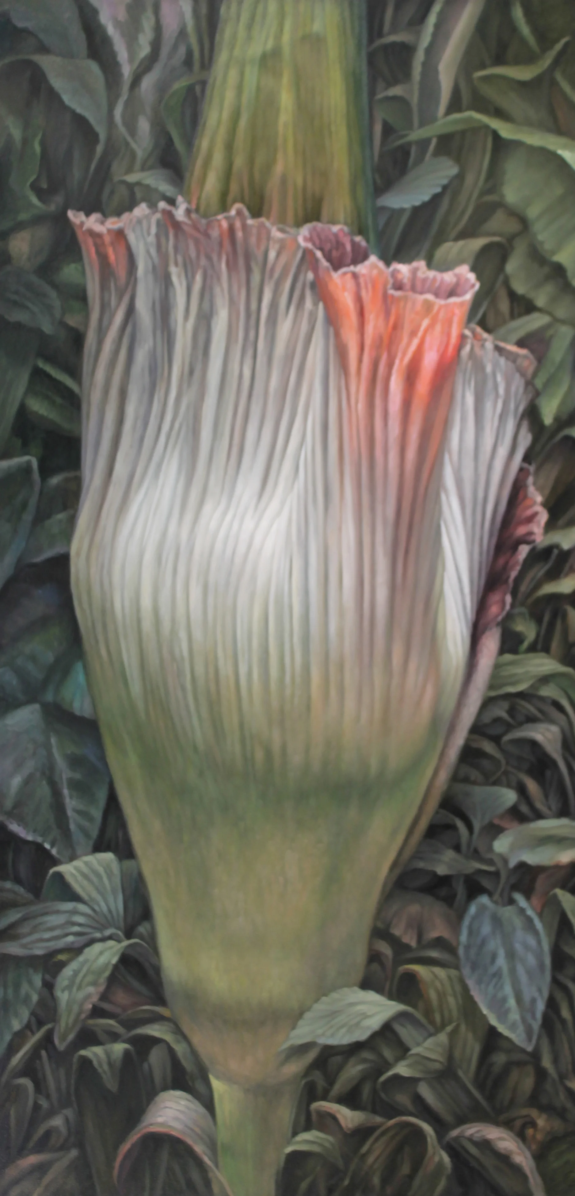 White Corpse Flower SOLD oil on panel 48 x 24