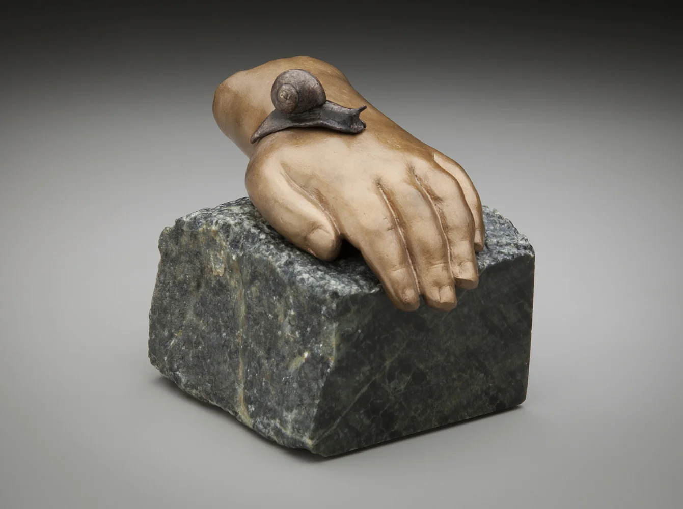 Of Skin and Coiled Shell $900 stone, bronze 4.25 x 13 x 3.5