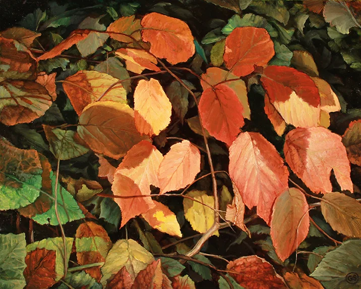 Blood Orange Shadows