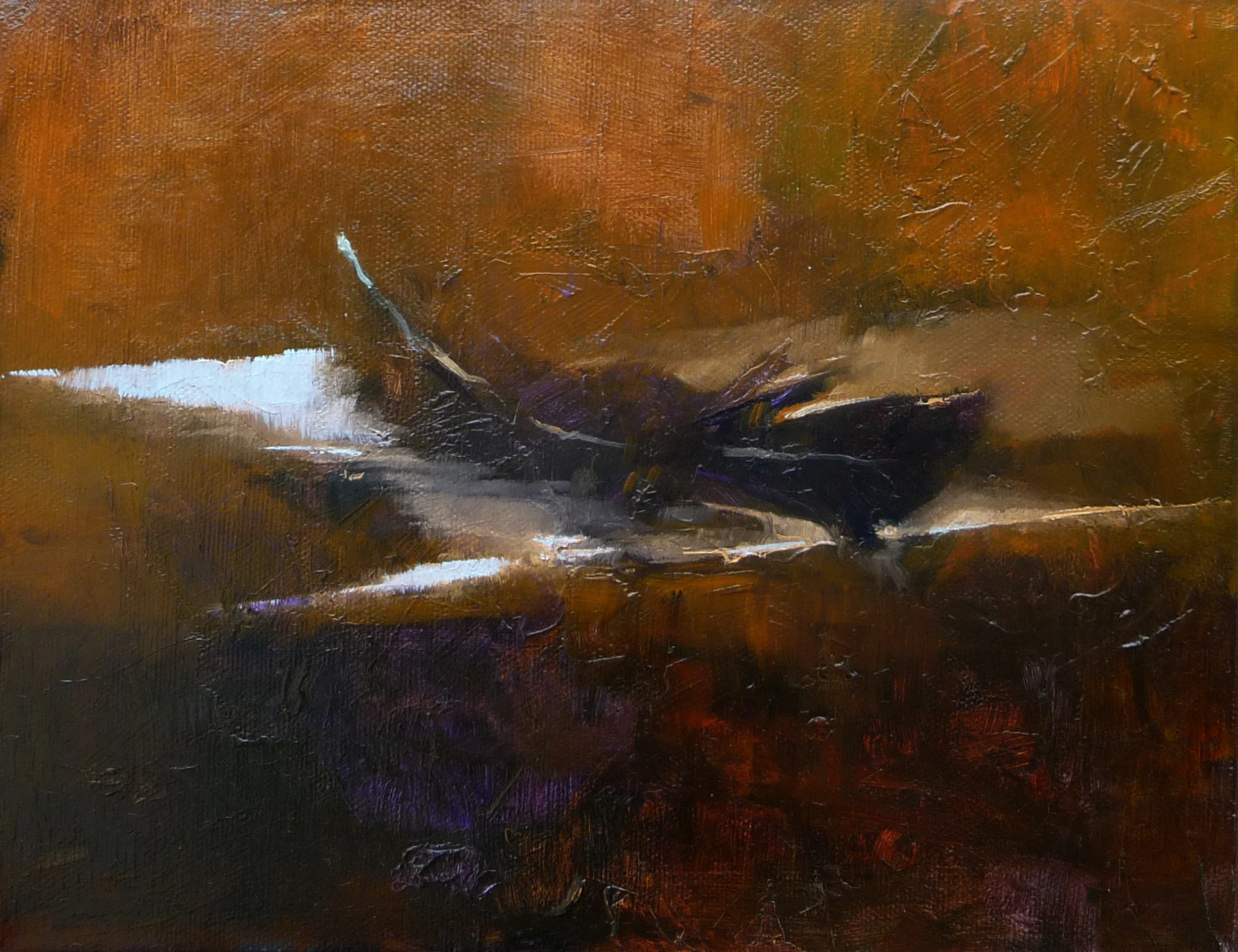 Diane Washa - Feather Study 2016
