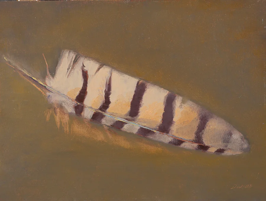 Diane Washa - Feather Study 2008